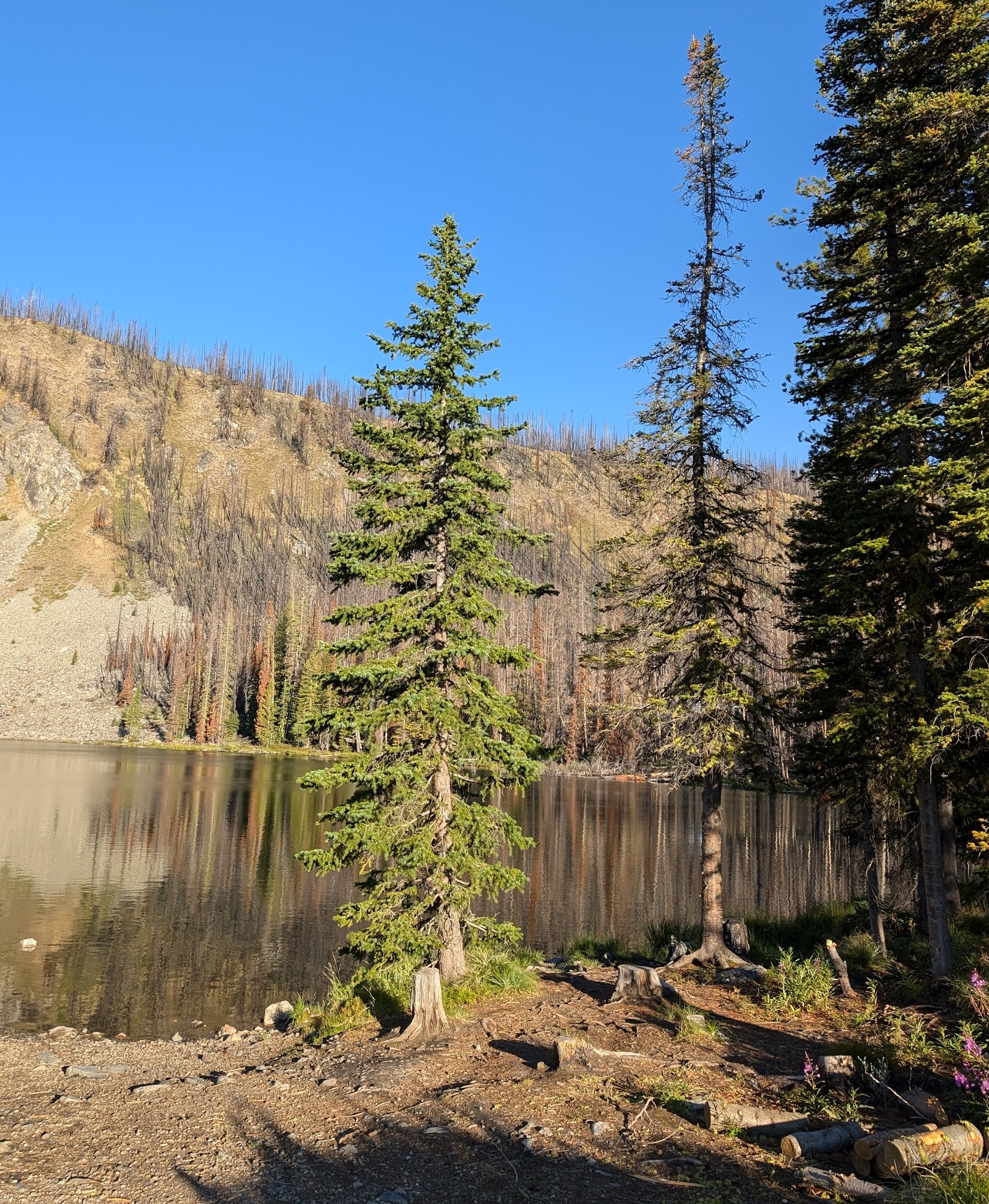 Wallace Lake Campground