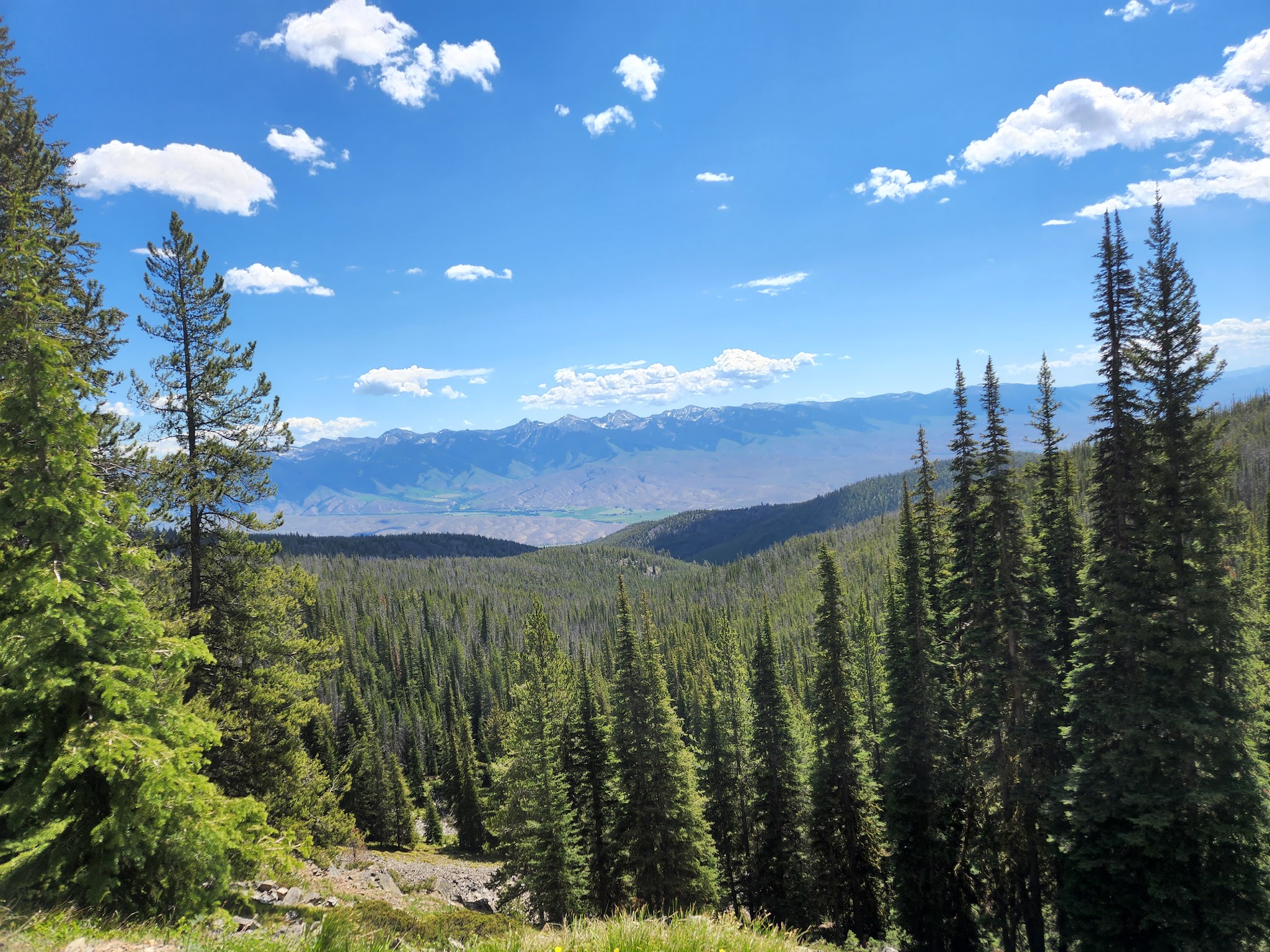 Wallace Lake Campground