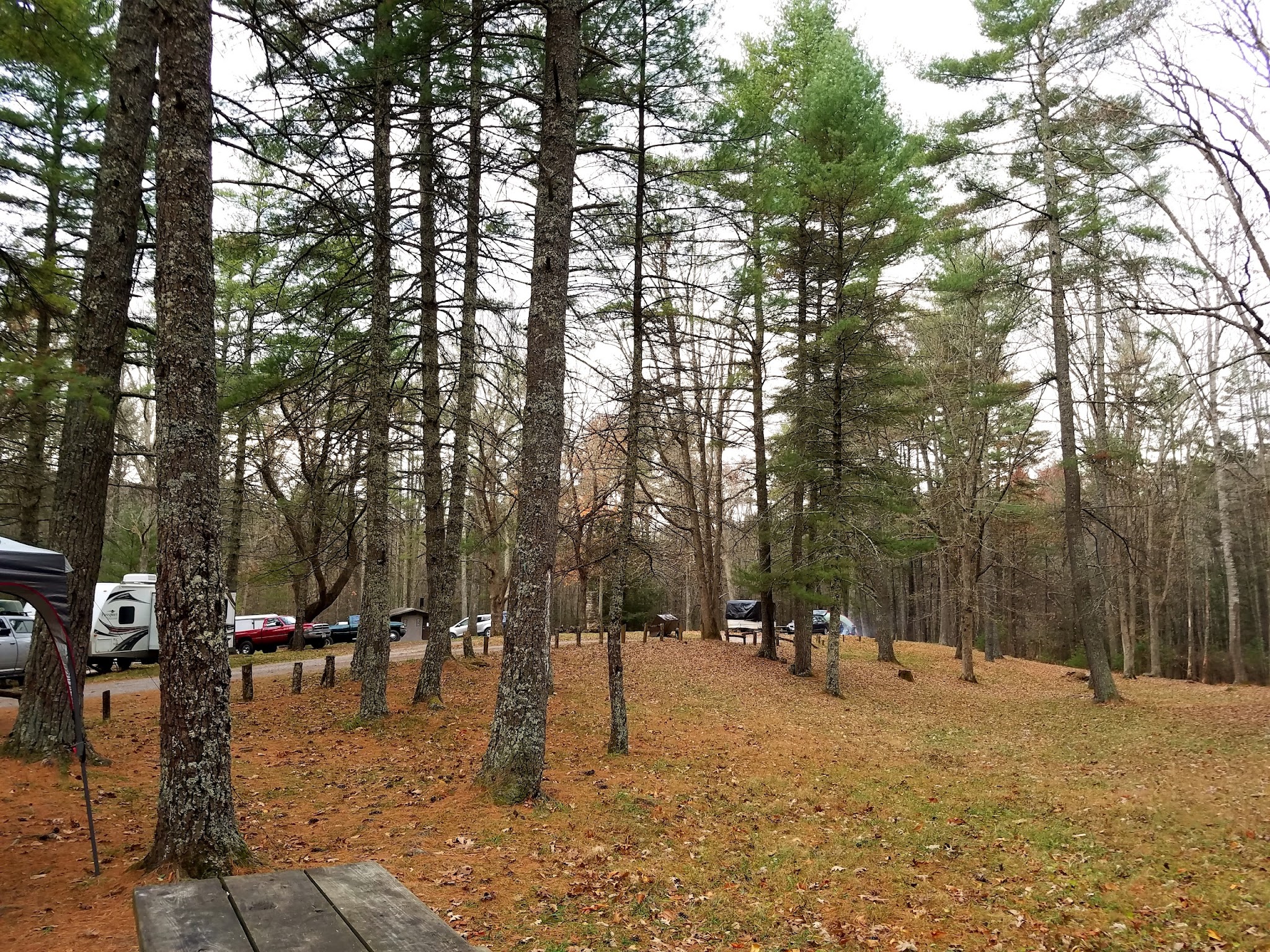 Walnut Flats Campground