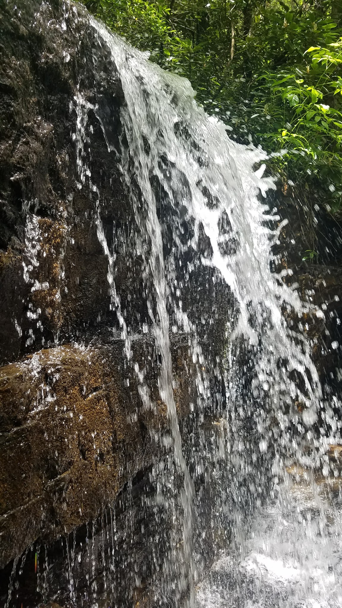 Walnut Flats Campground