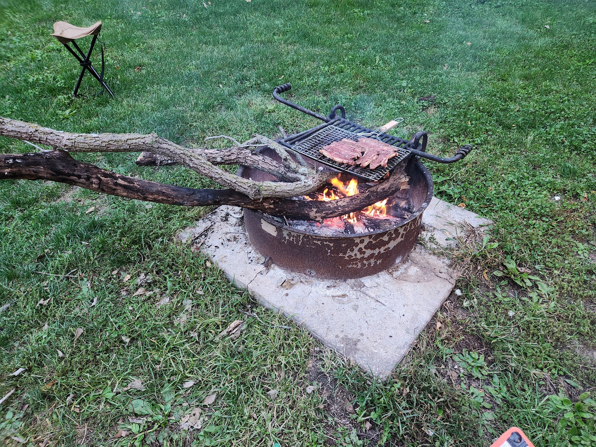 Walnut Woods State Park