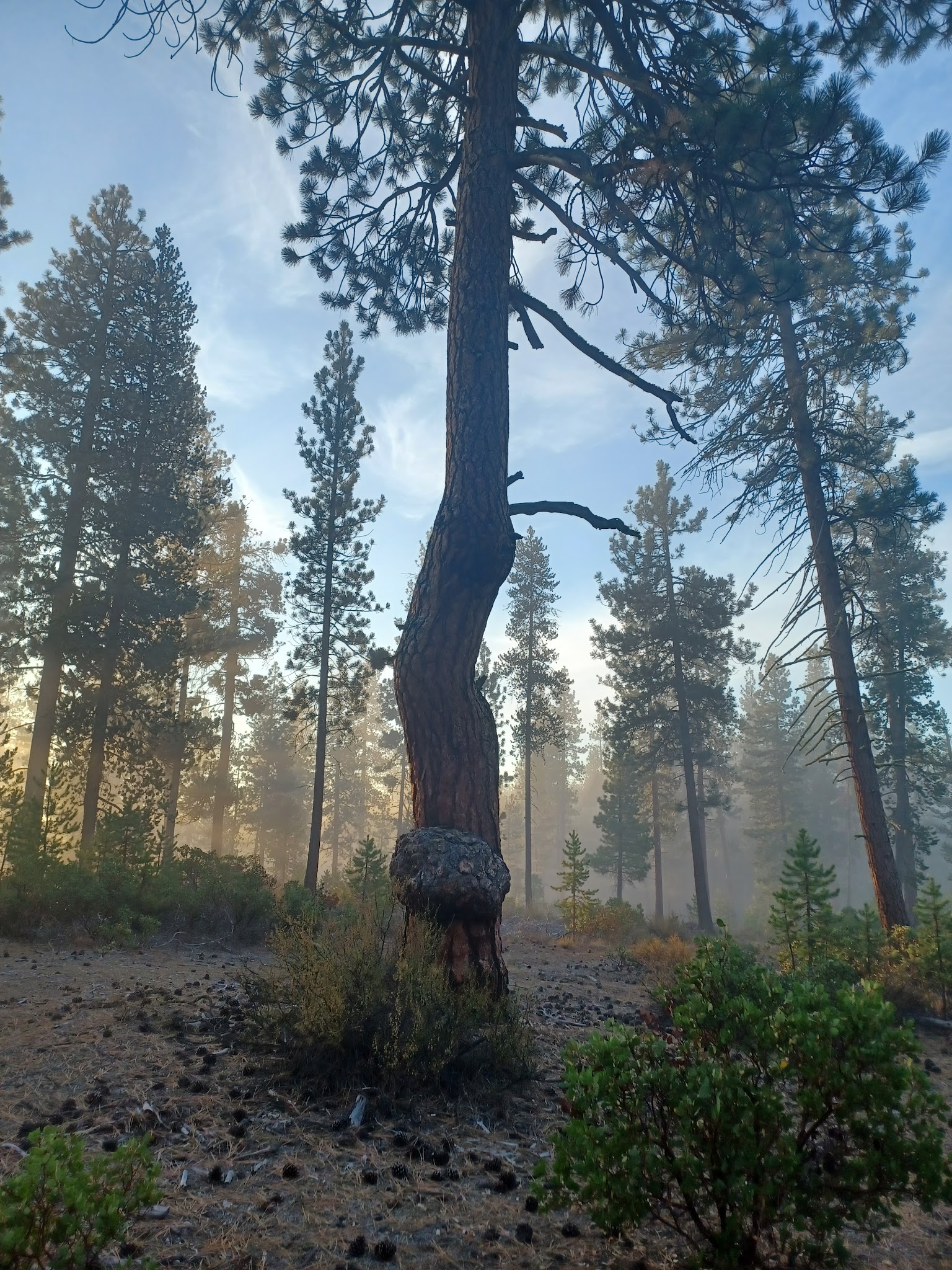 Walt Haring Sno-Park/Campground
