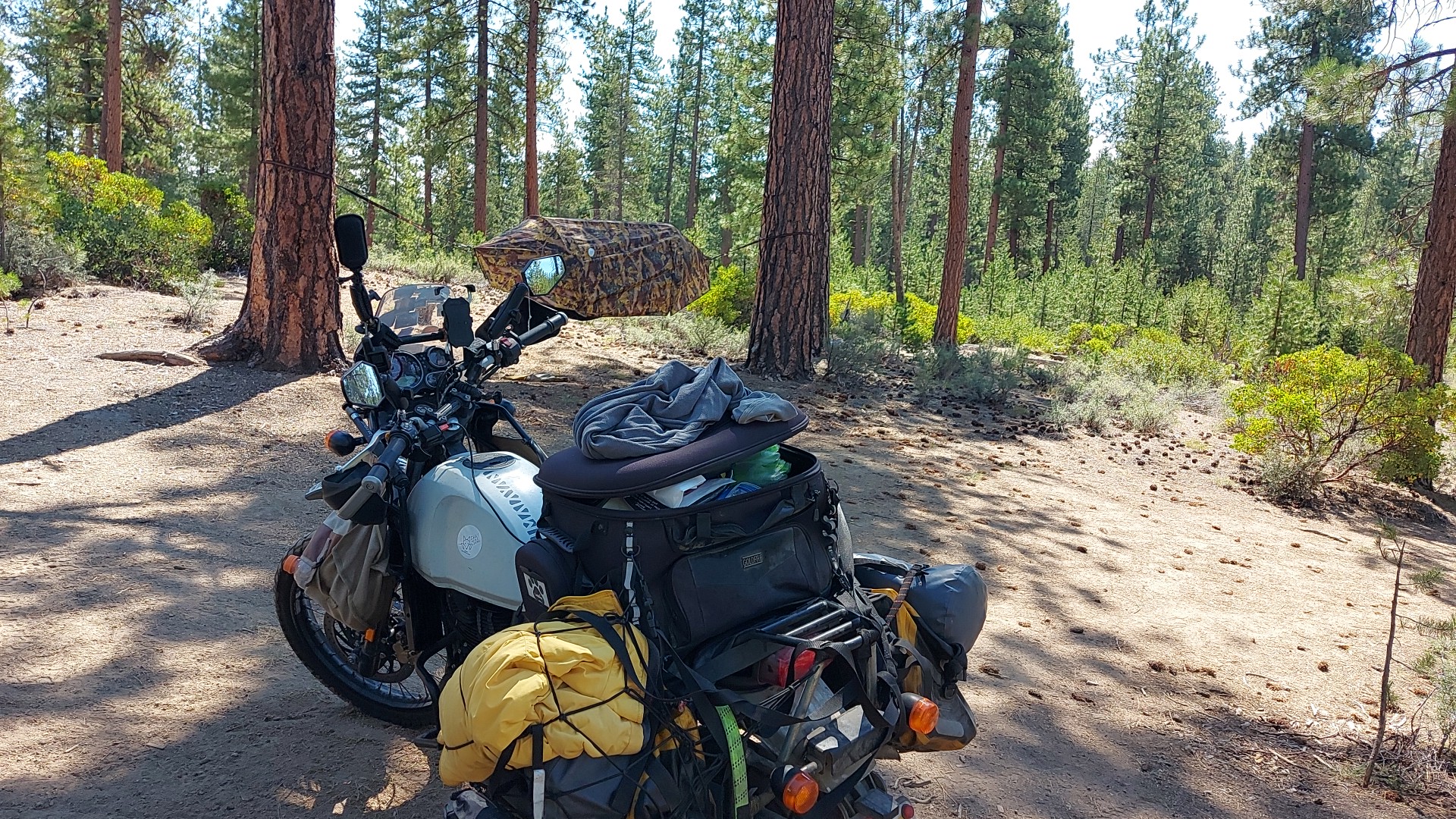 Walt Haring Sno-Park/Campground