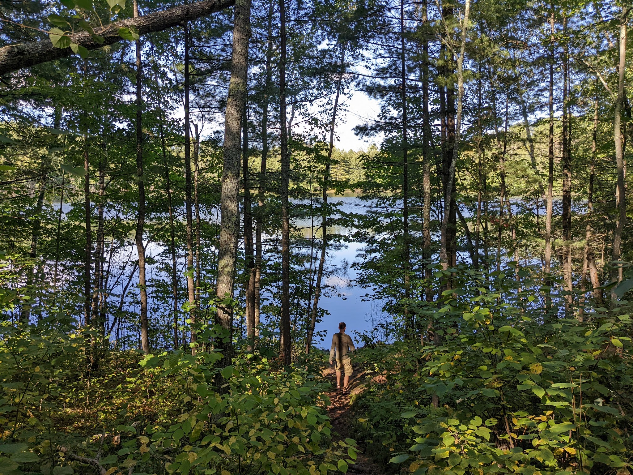 Wanoka Lake Recreation Area