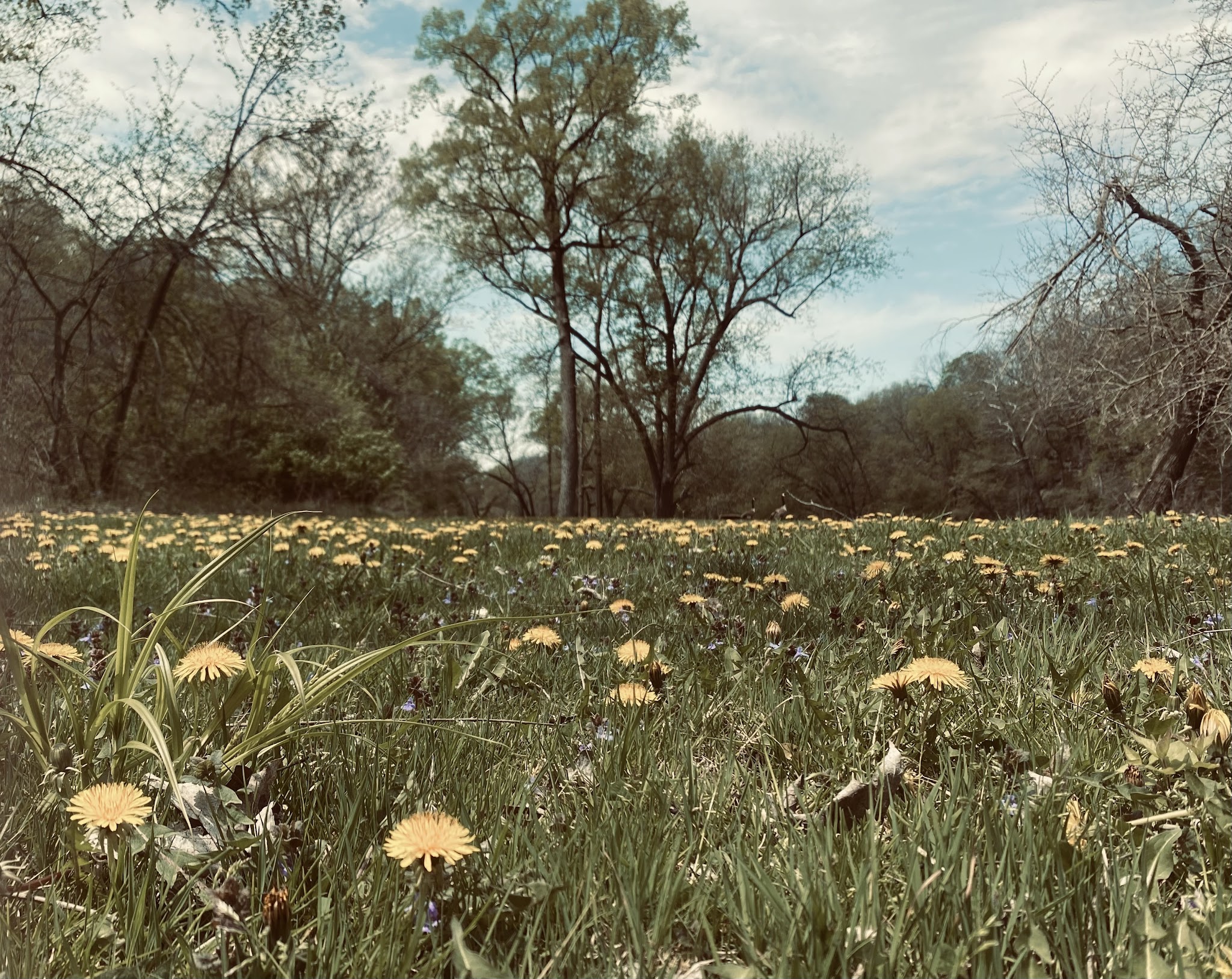 Wapsipinicon State Park