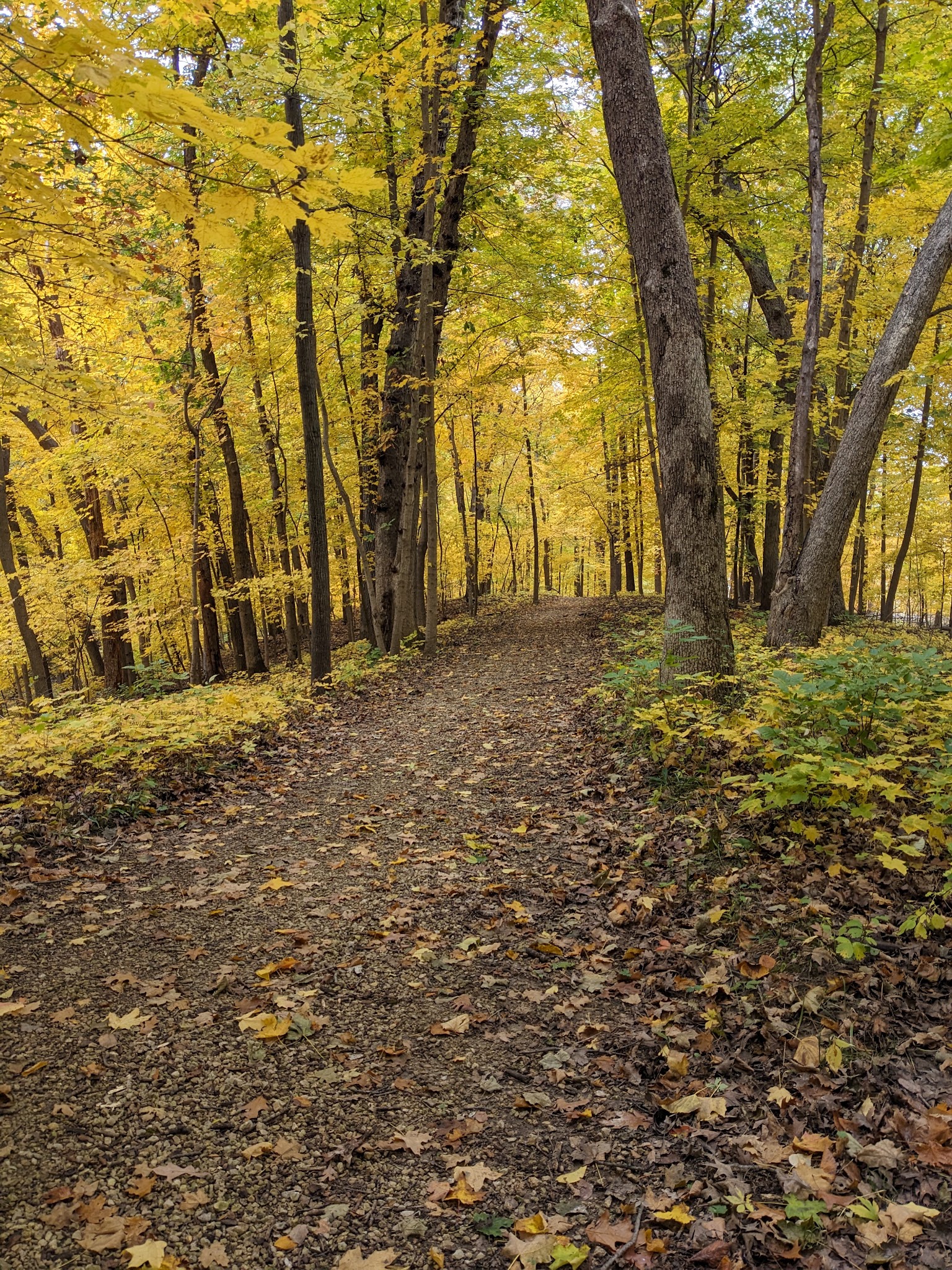 Wapsipinicon State Park