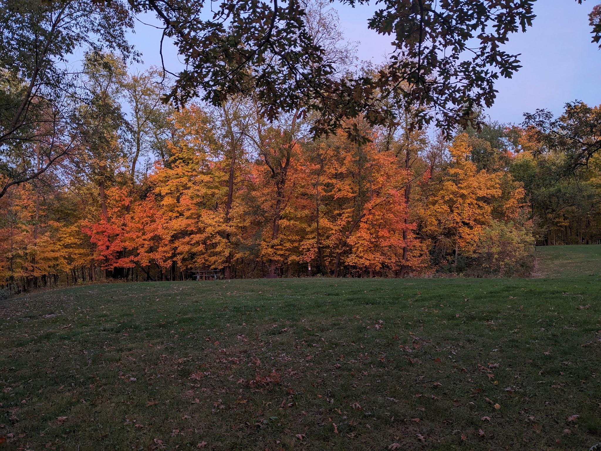 Wapsipinicon State Park