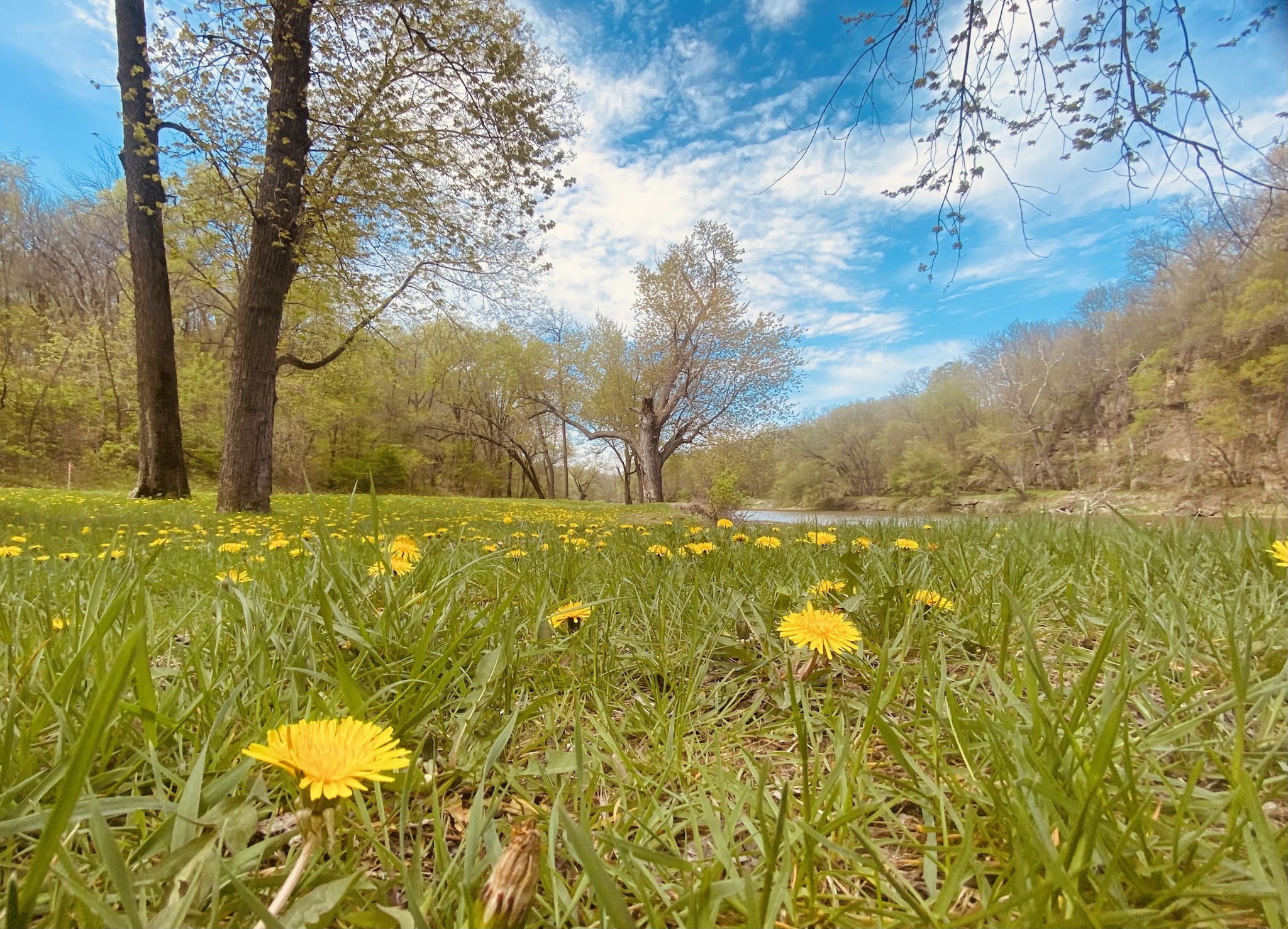 Wapsipinicon State Park