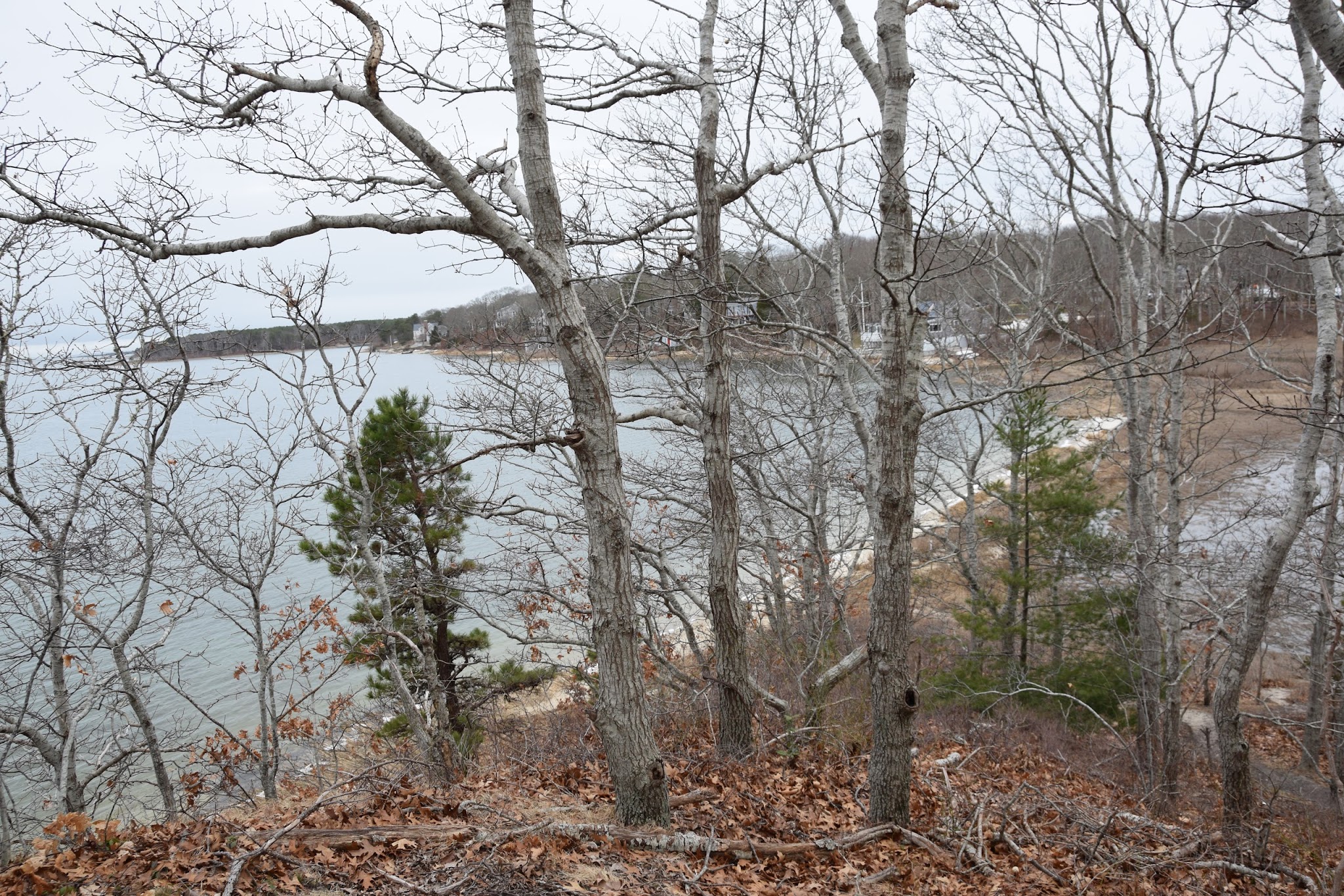 Waquoit Bay Nat. Estuarine Res