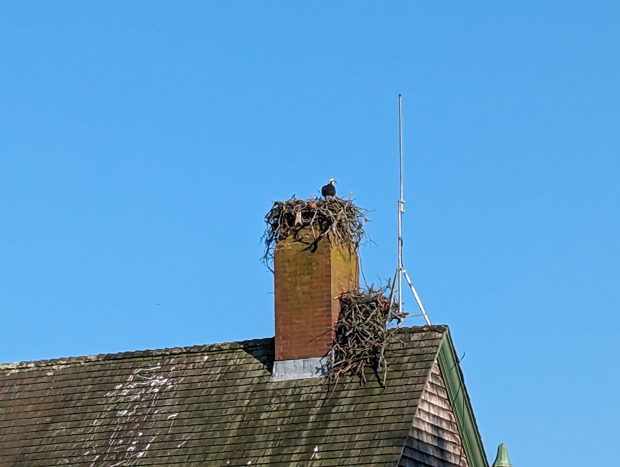 Waquoit Bay Nat. Estuarine Res