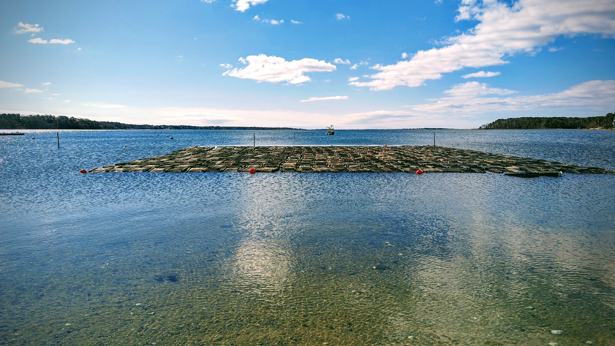 Waquoit Bay Nat. Estuarine Res