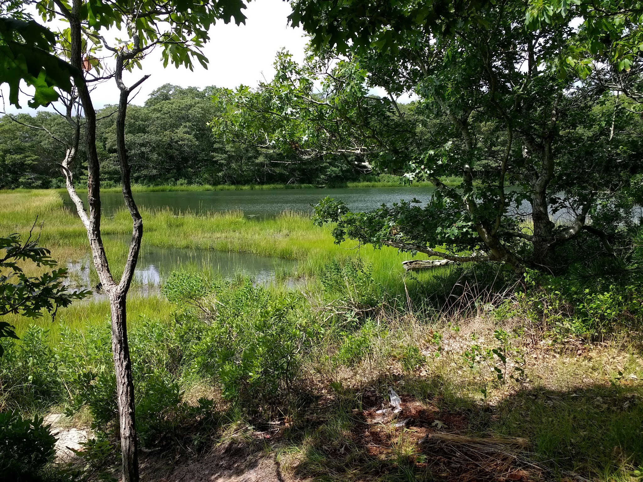 Waquoit Bay Nat. Estuarine Res