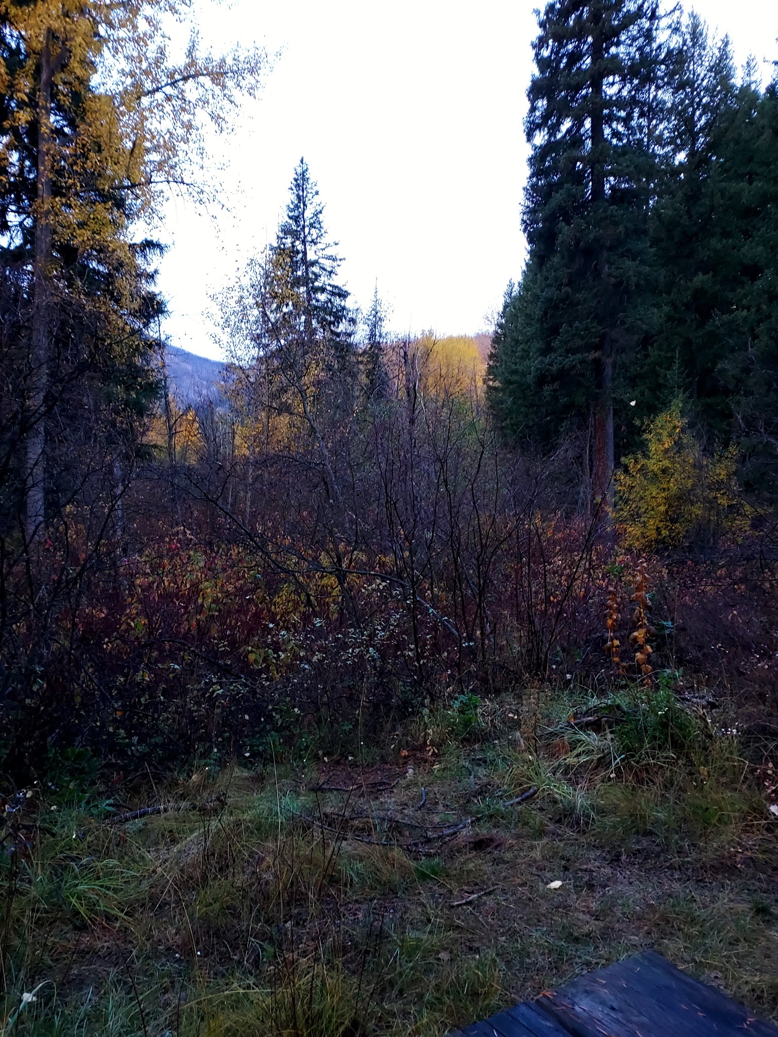 War Creek Campground