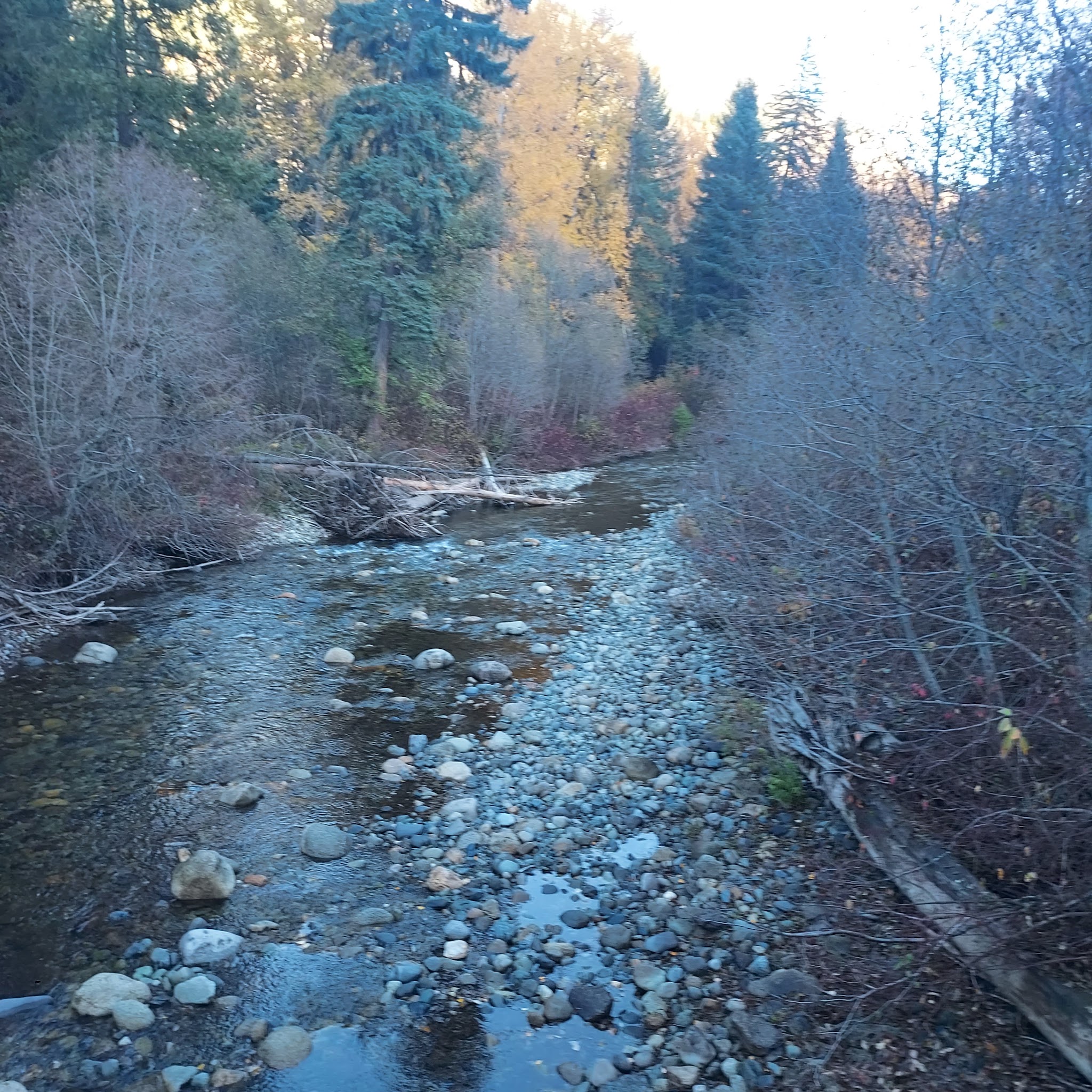 War Creek Campground