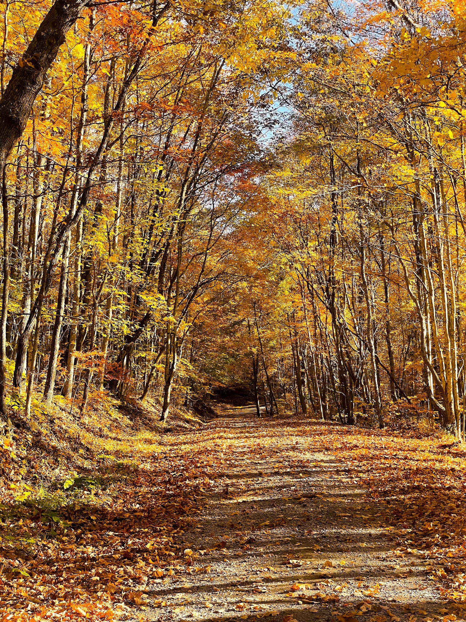 War Ridge/Backus Mountain Campground