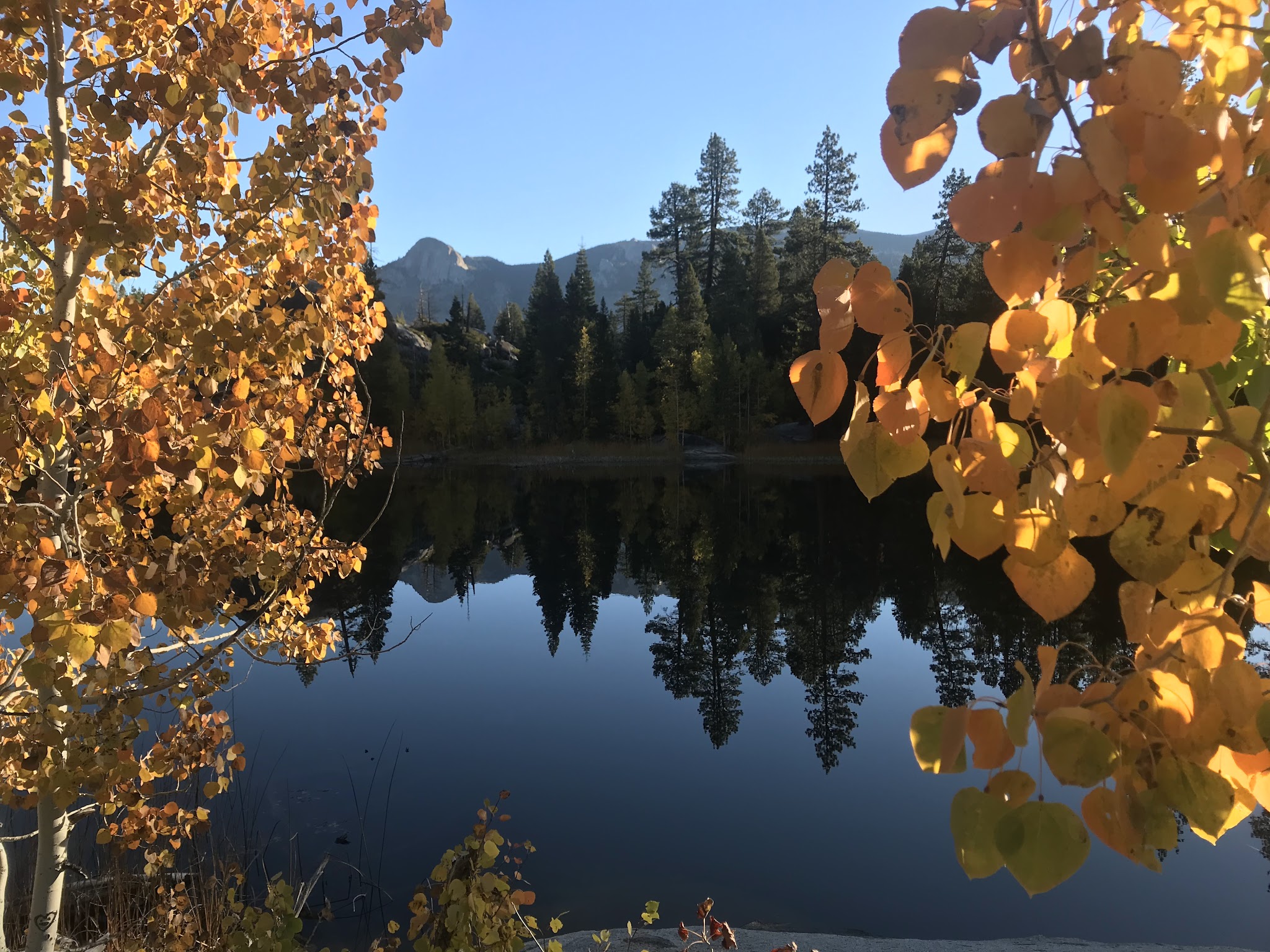 Ward Lake Campground