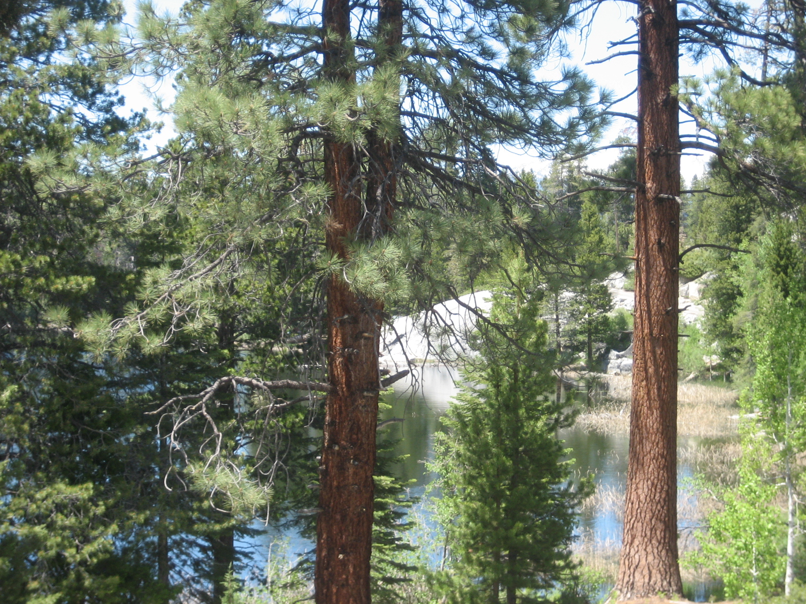 Ward Lake Campground