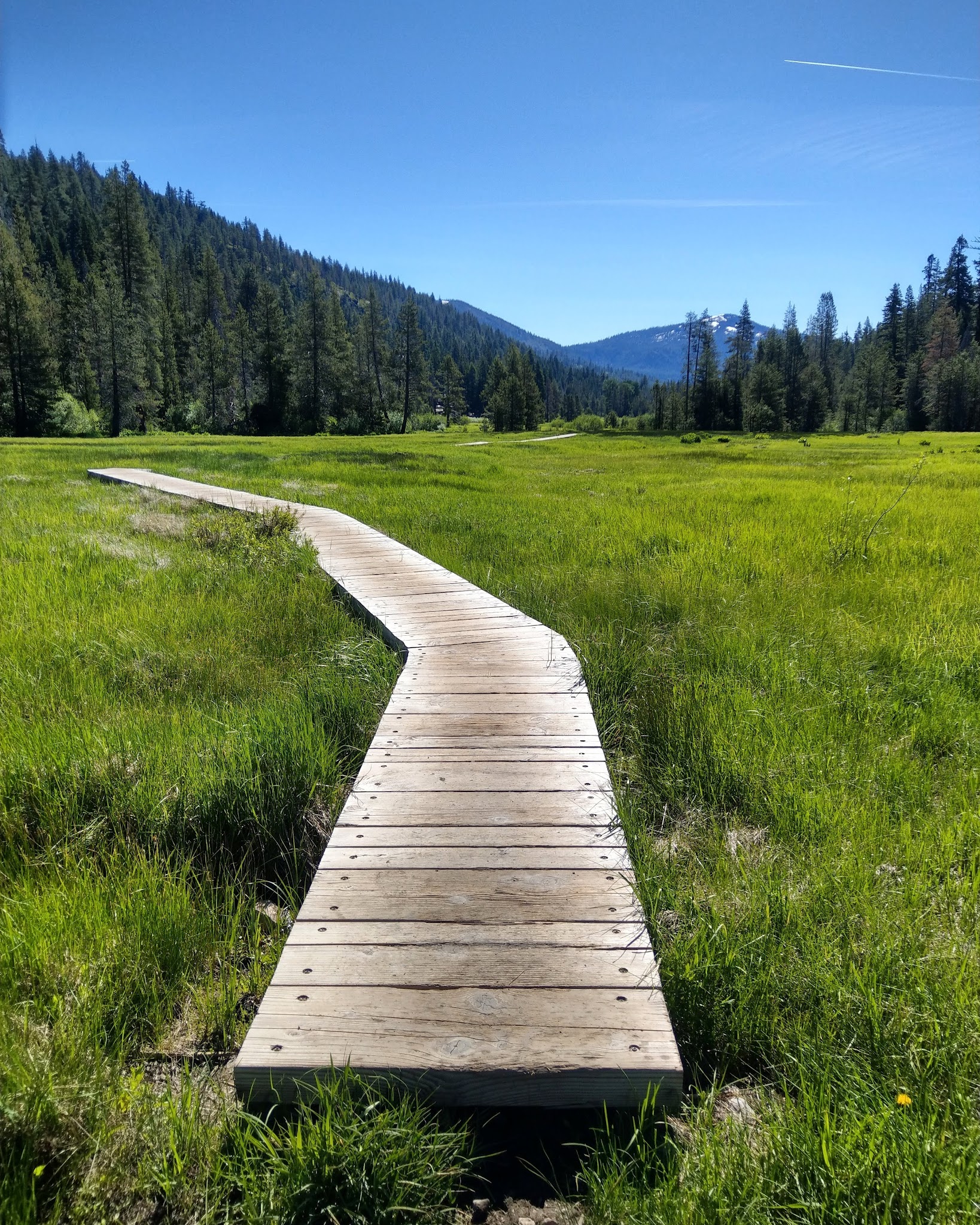 Warner Creek Campground