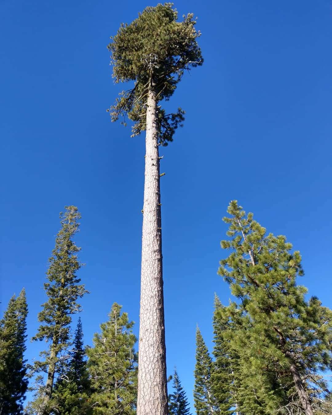 Warner Creek Campground