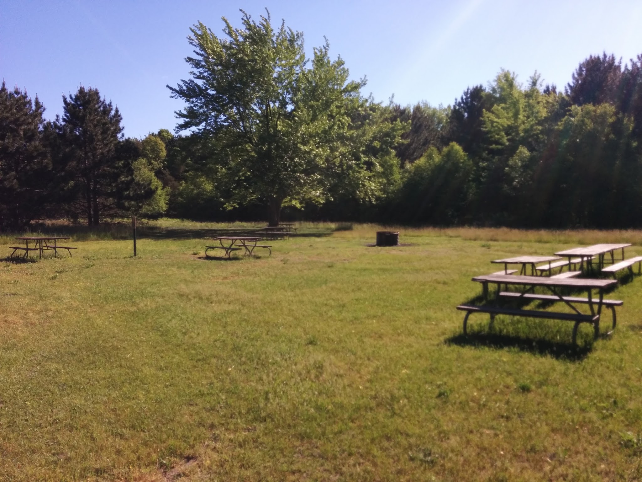 Warren Dunes- Youth Group Use Area Camp