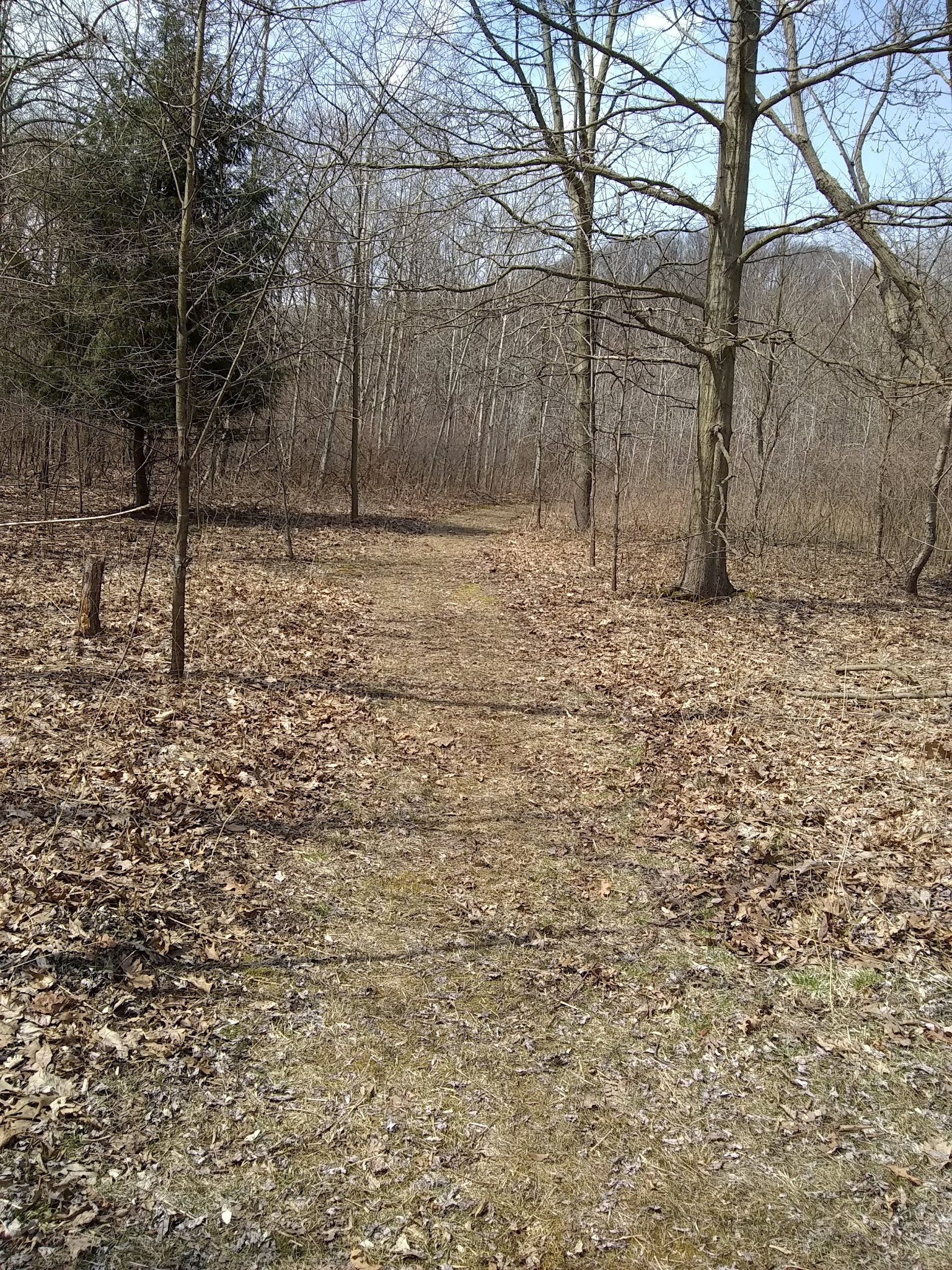 Warren Dunes- Youth Group Use Area Camp