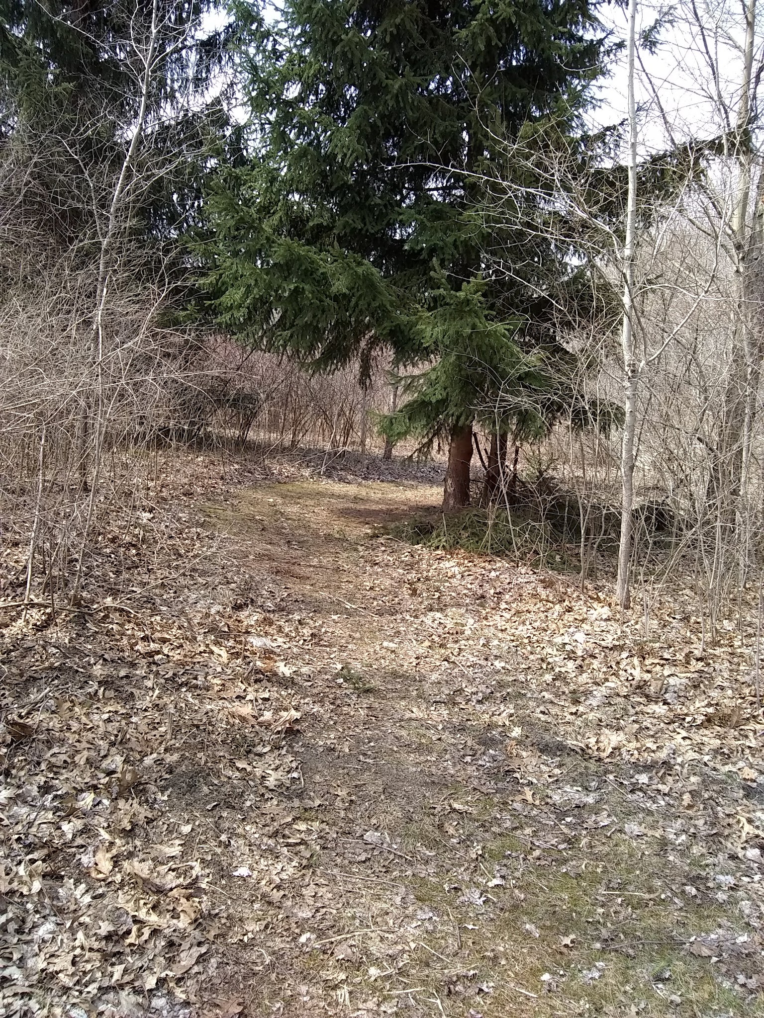 Warren Dunes- Youth Group Use Area Camp