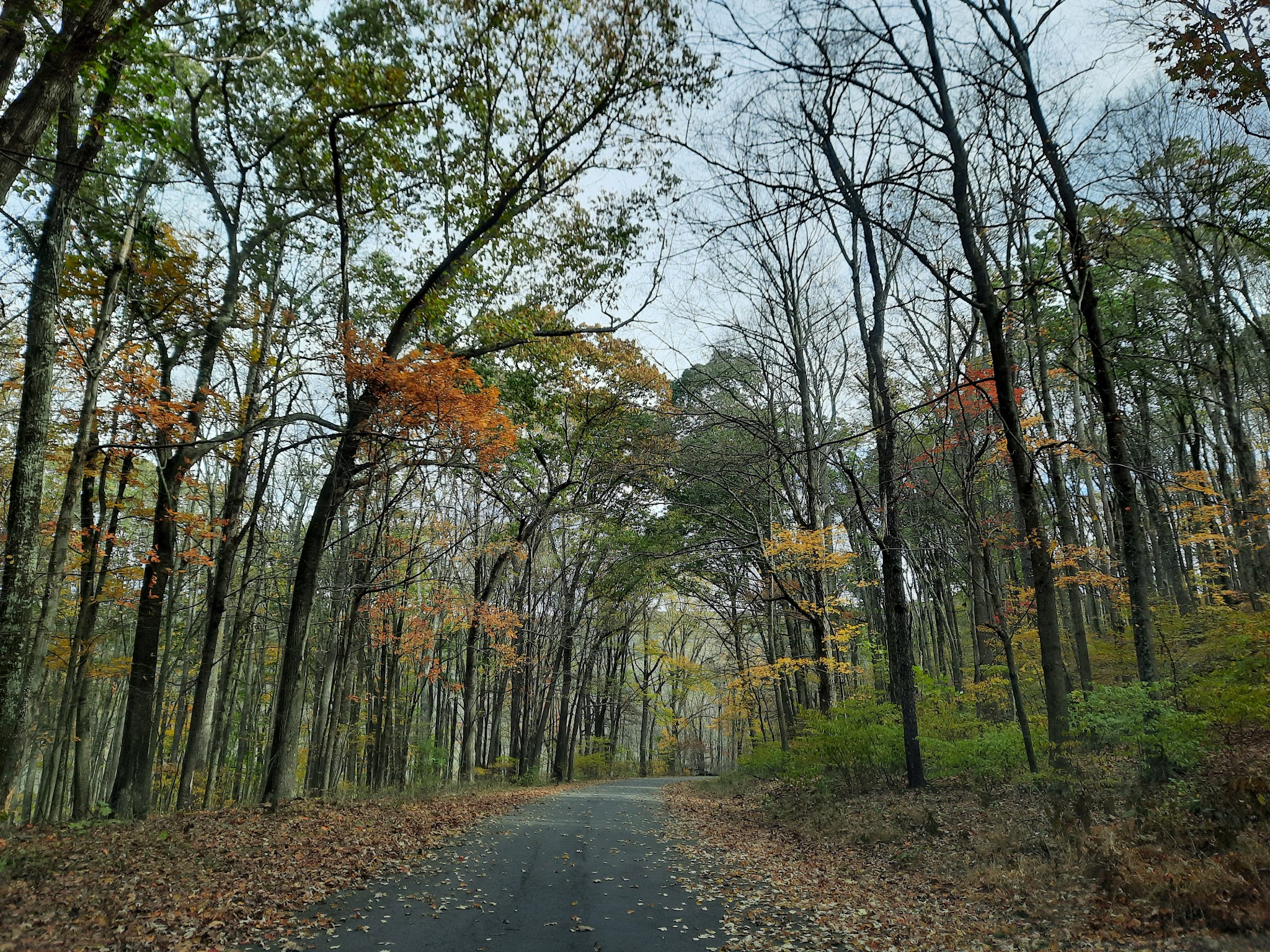 Warriors Path State Park