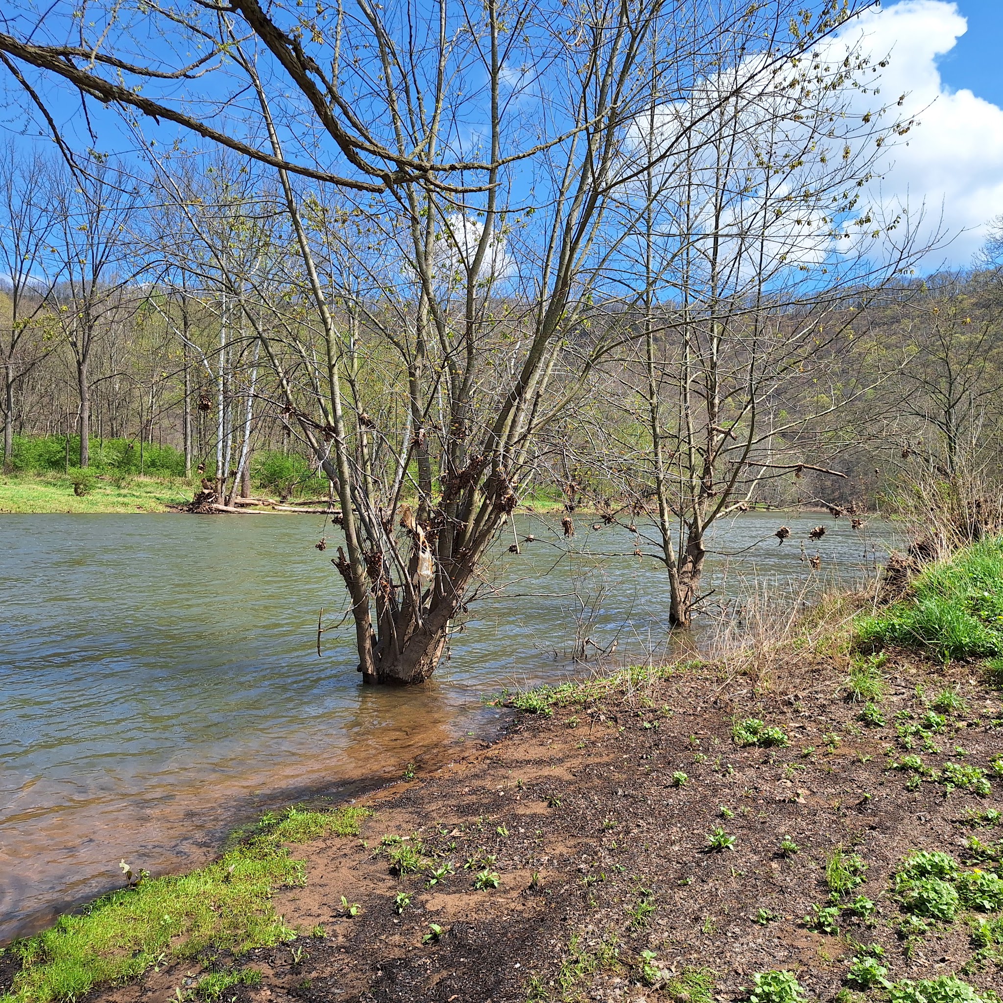 Warriors Path State Park