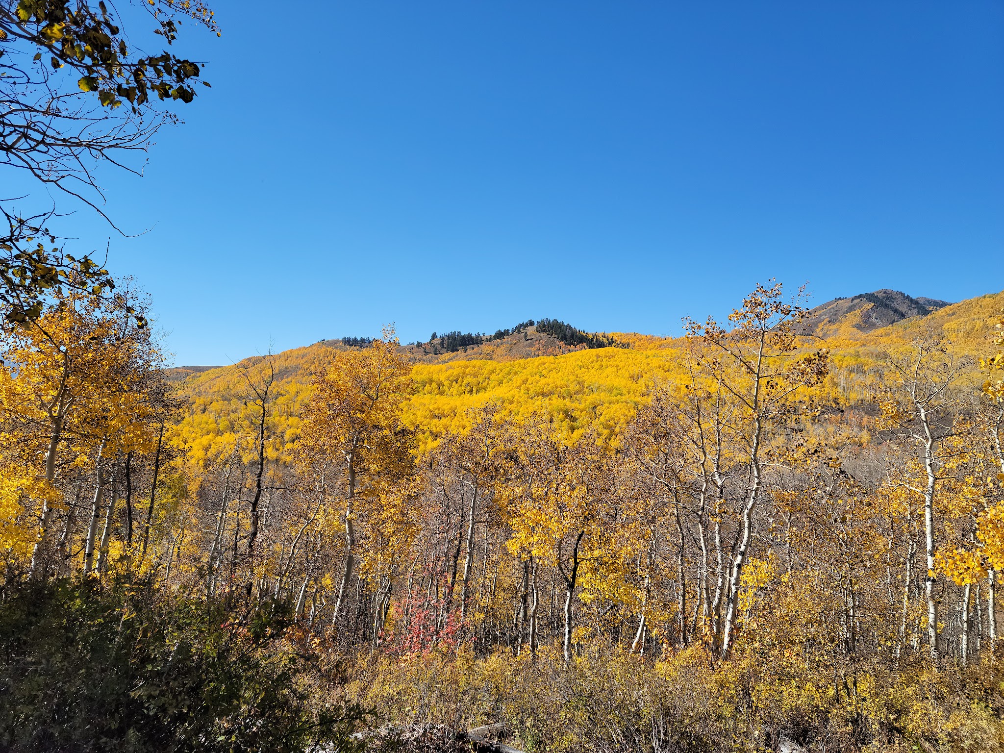 Wasatch Mountain State Park