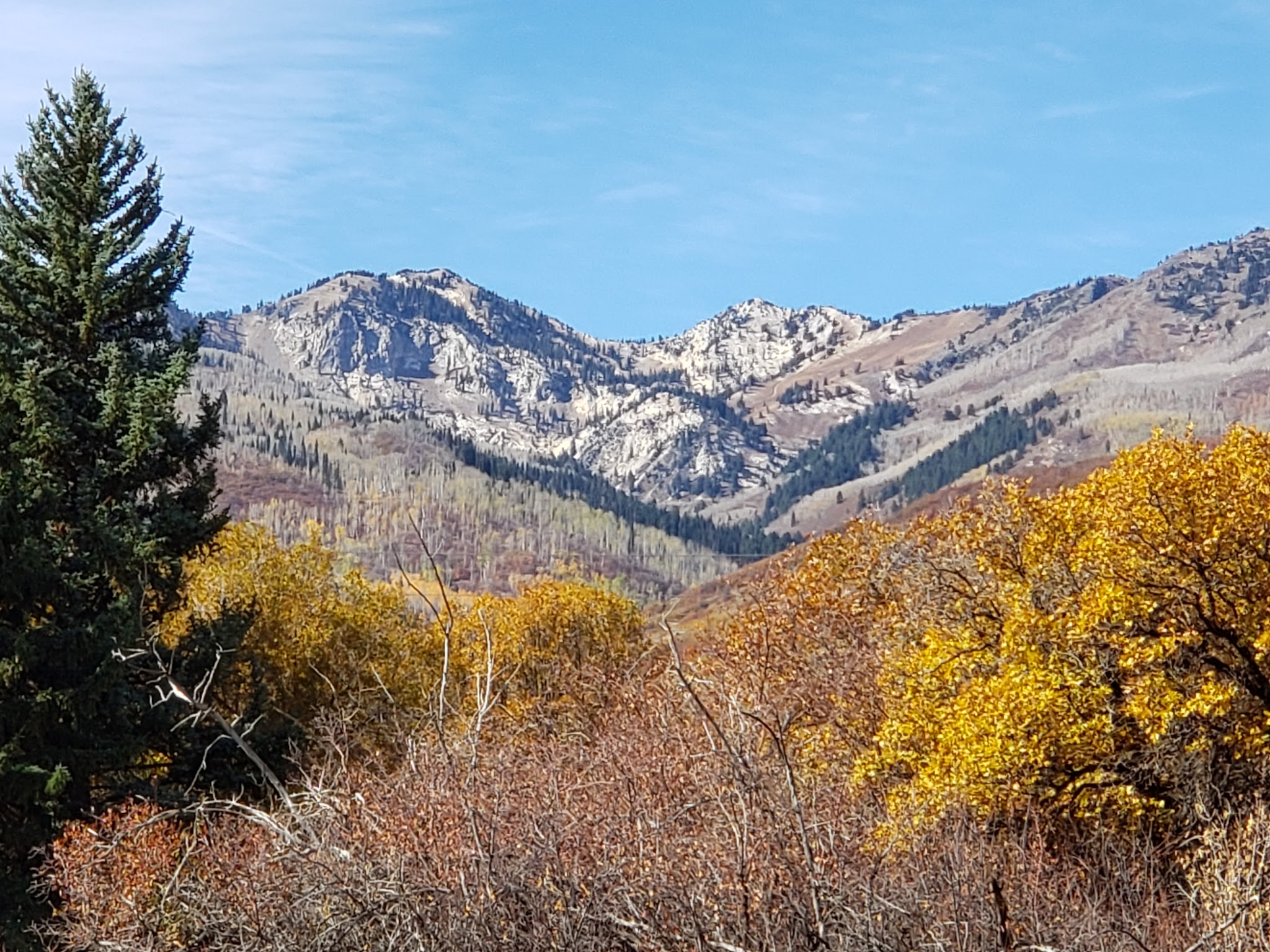 Wasatch Mountain State Park