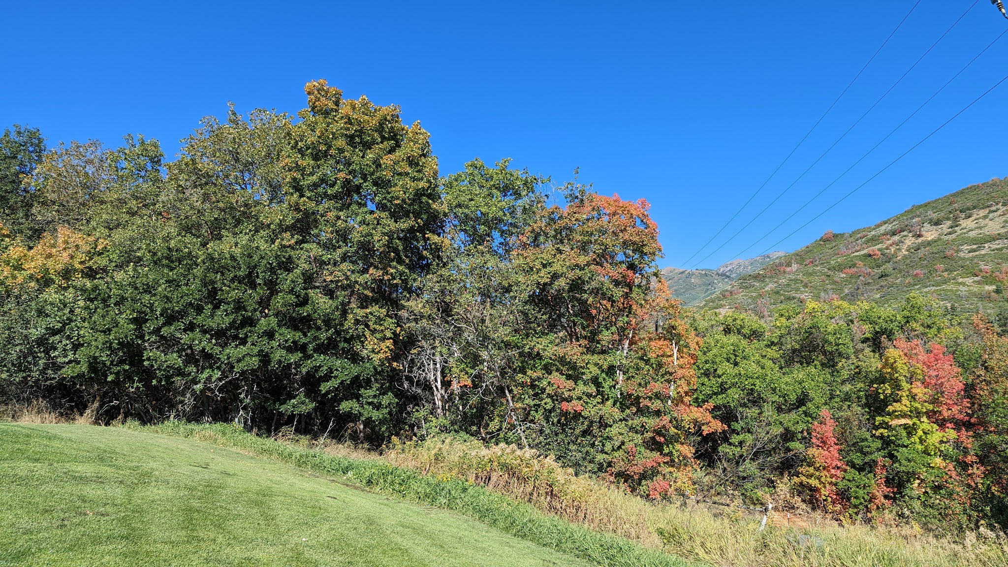 Wasatch Mountain State Park