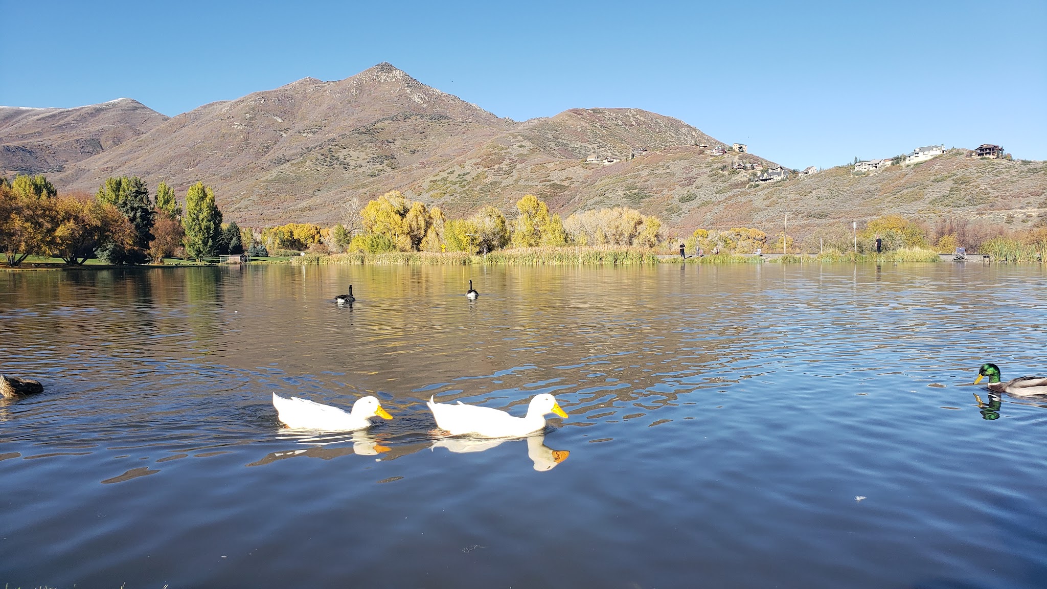 Wasatch Mountain State Park