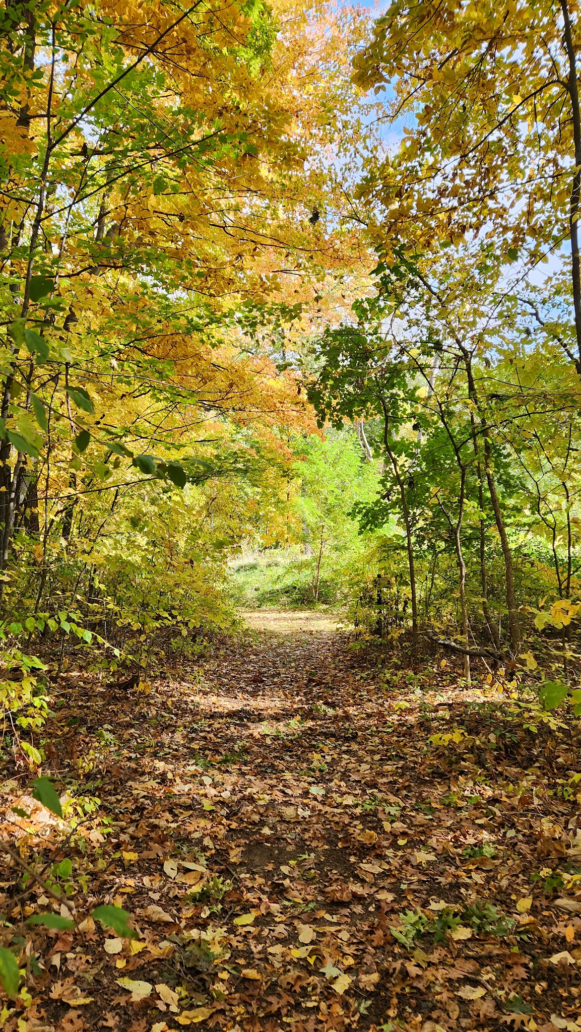Waterloo-Group Use Area Camp