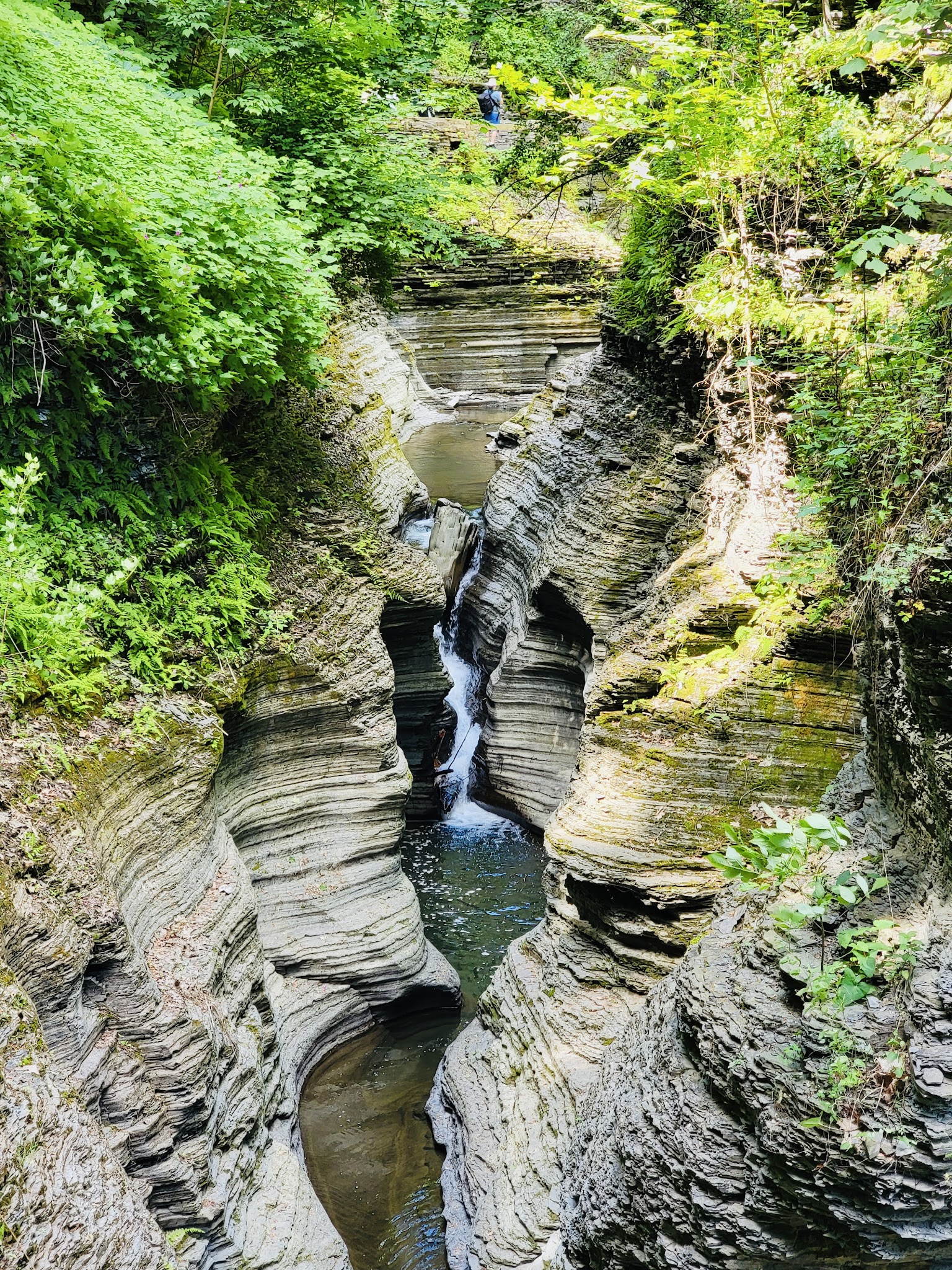 Watkins Glen State Park