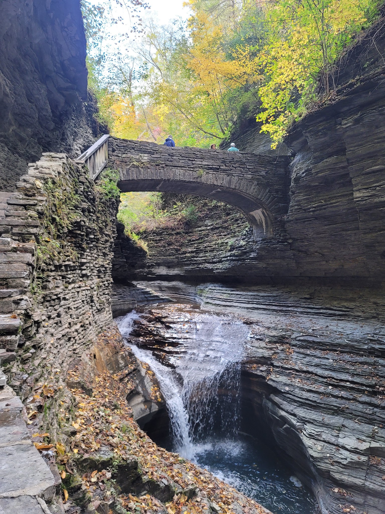Watkins Glen State Park