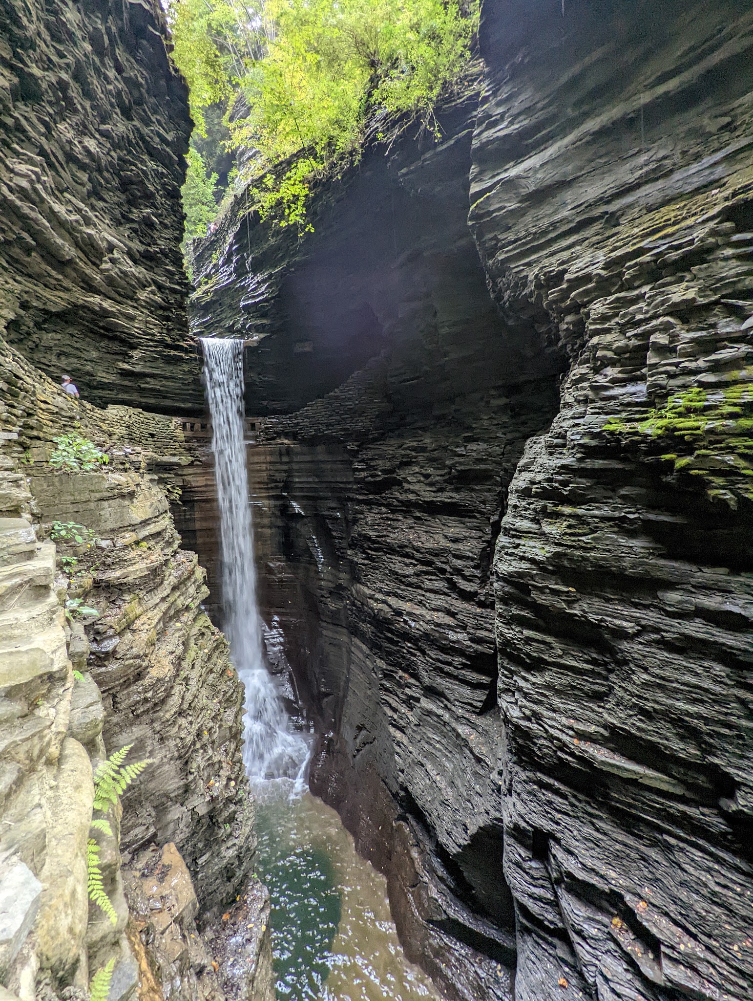 Watkins Glen State Park