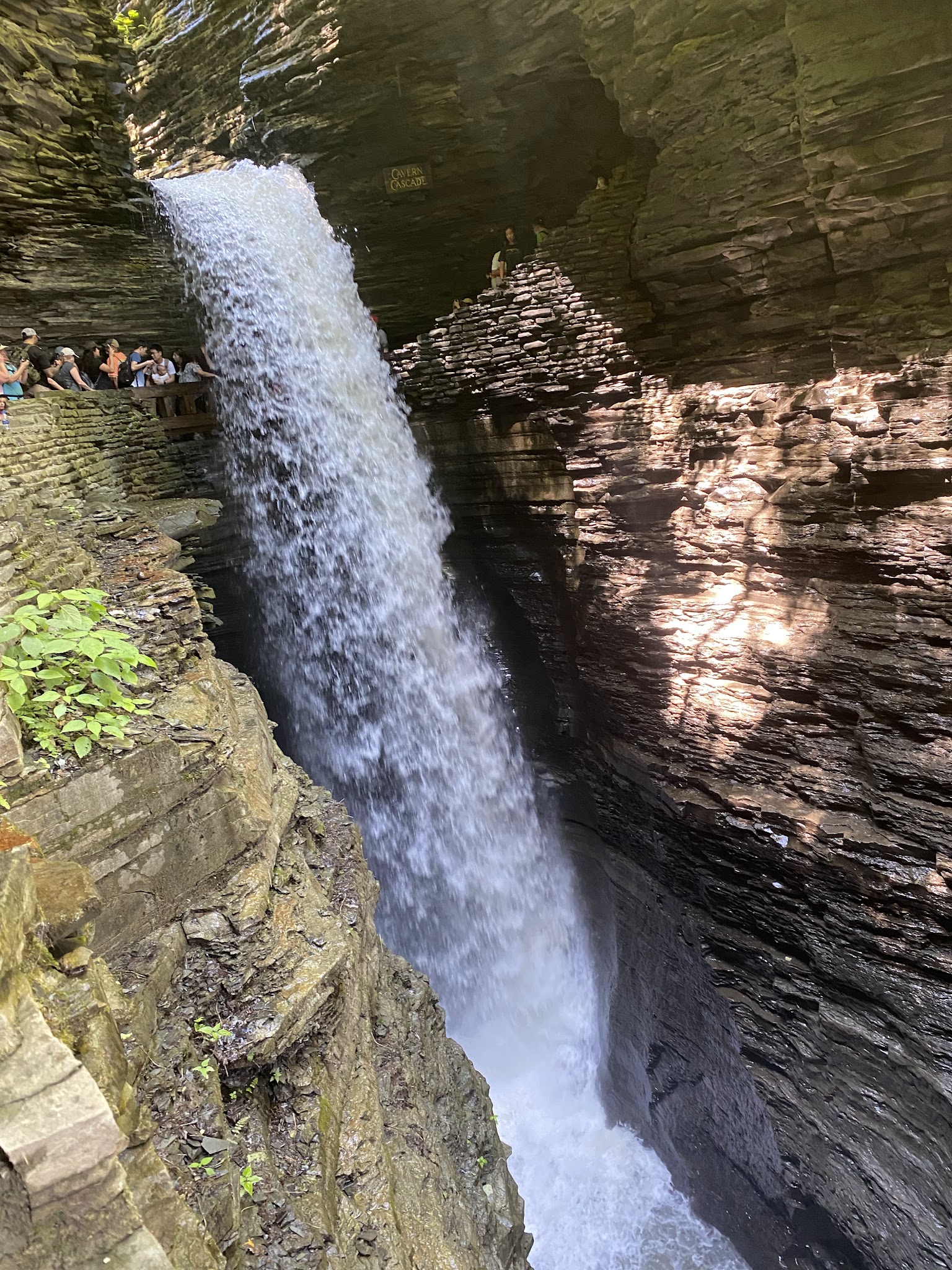 Watkins Glen State Park