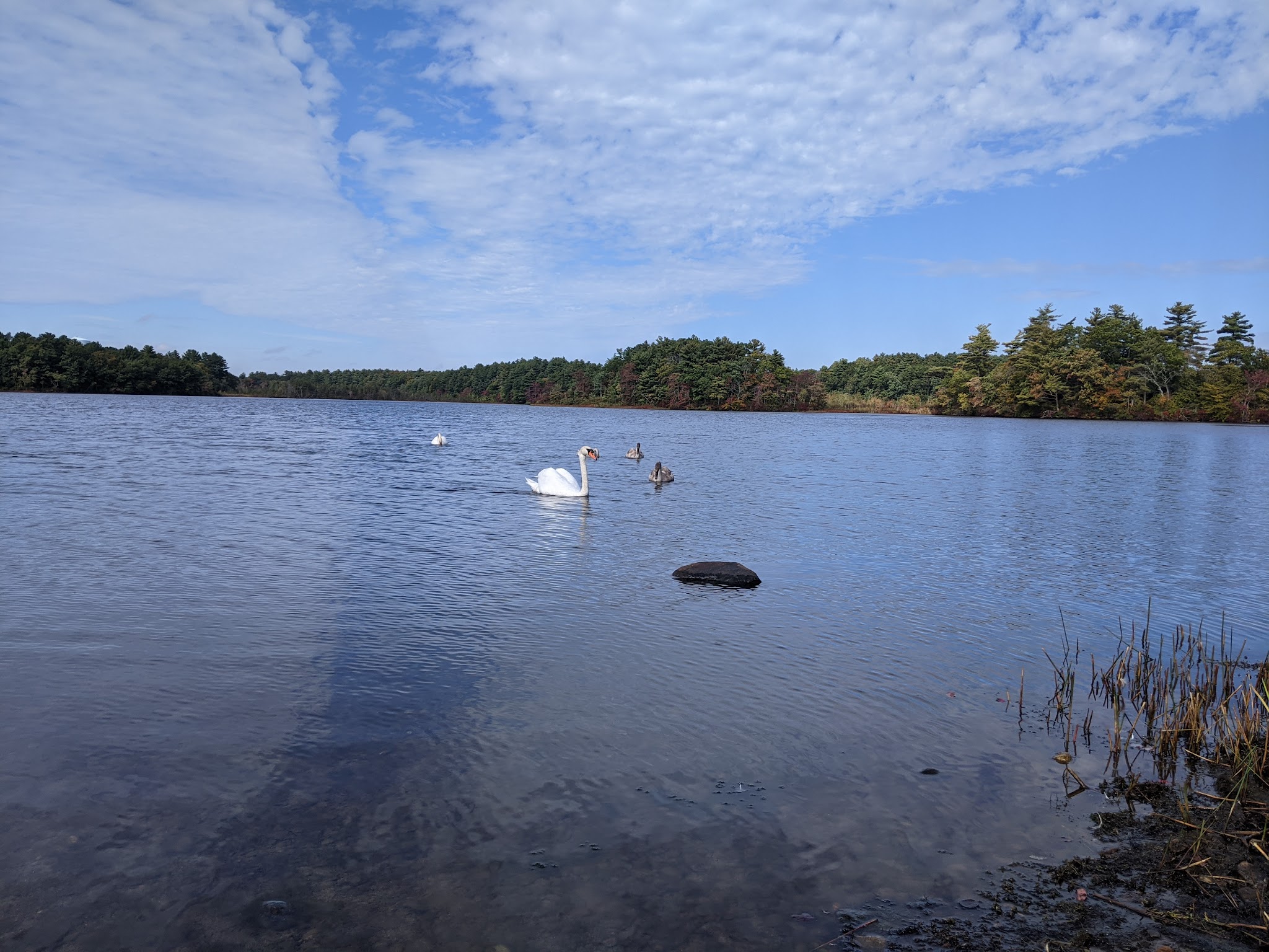 Watson Pond State Park