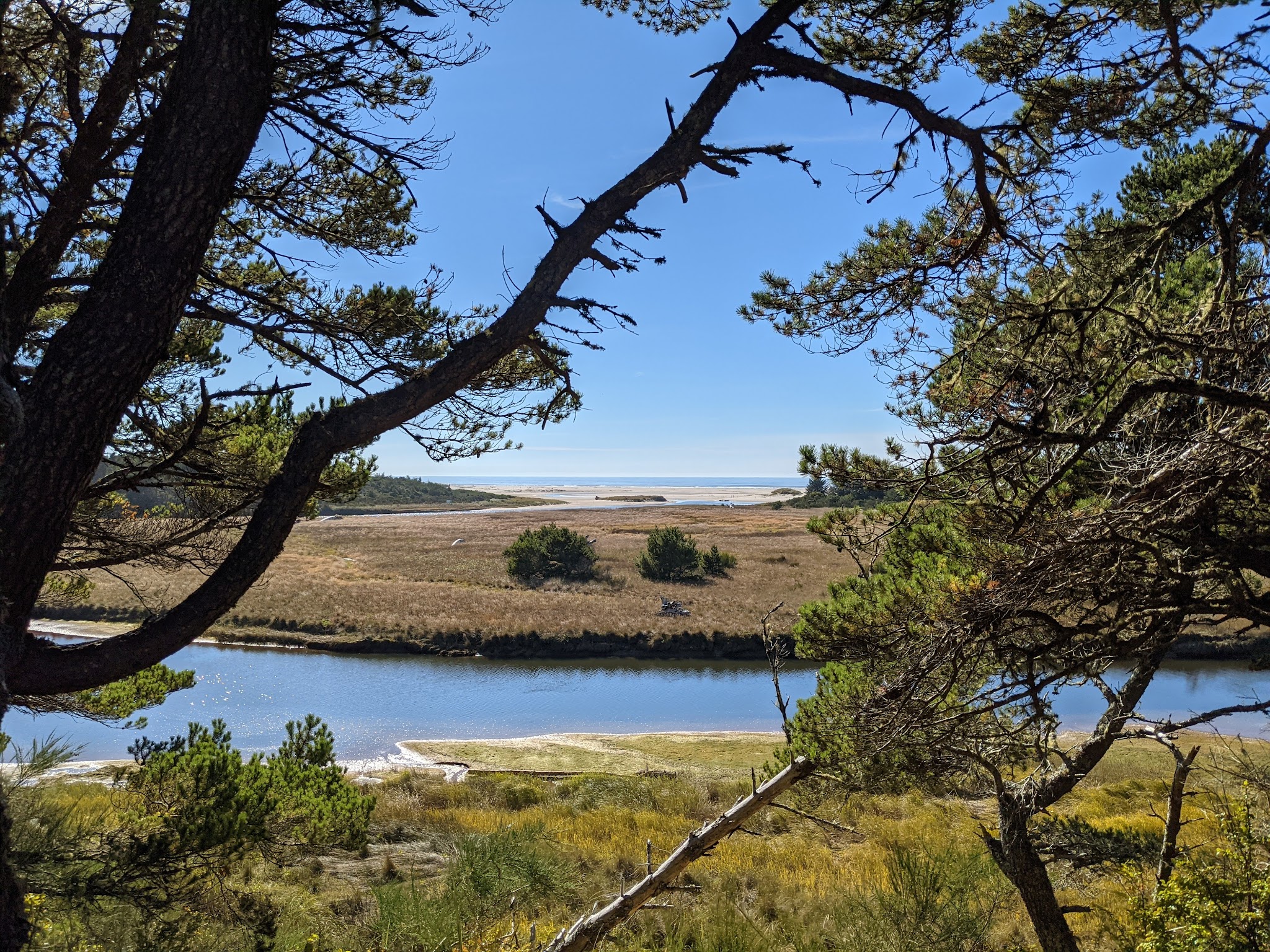 Waxmyrtle Campground