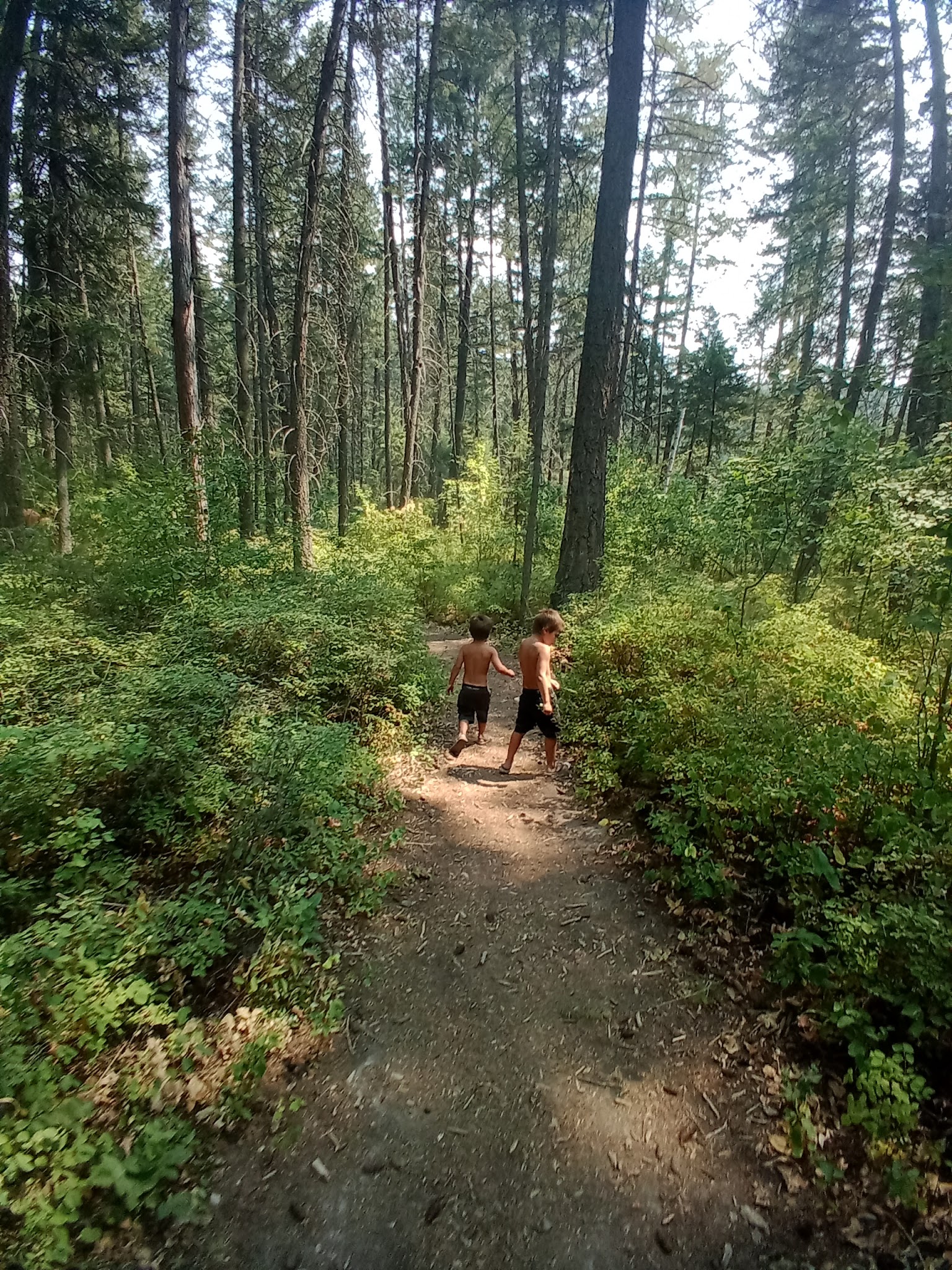 Wayfarers Unit - Flathead Lake State Park