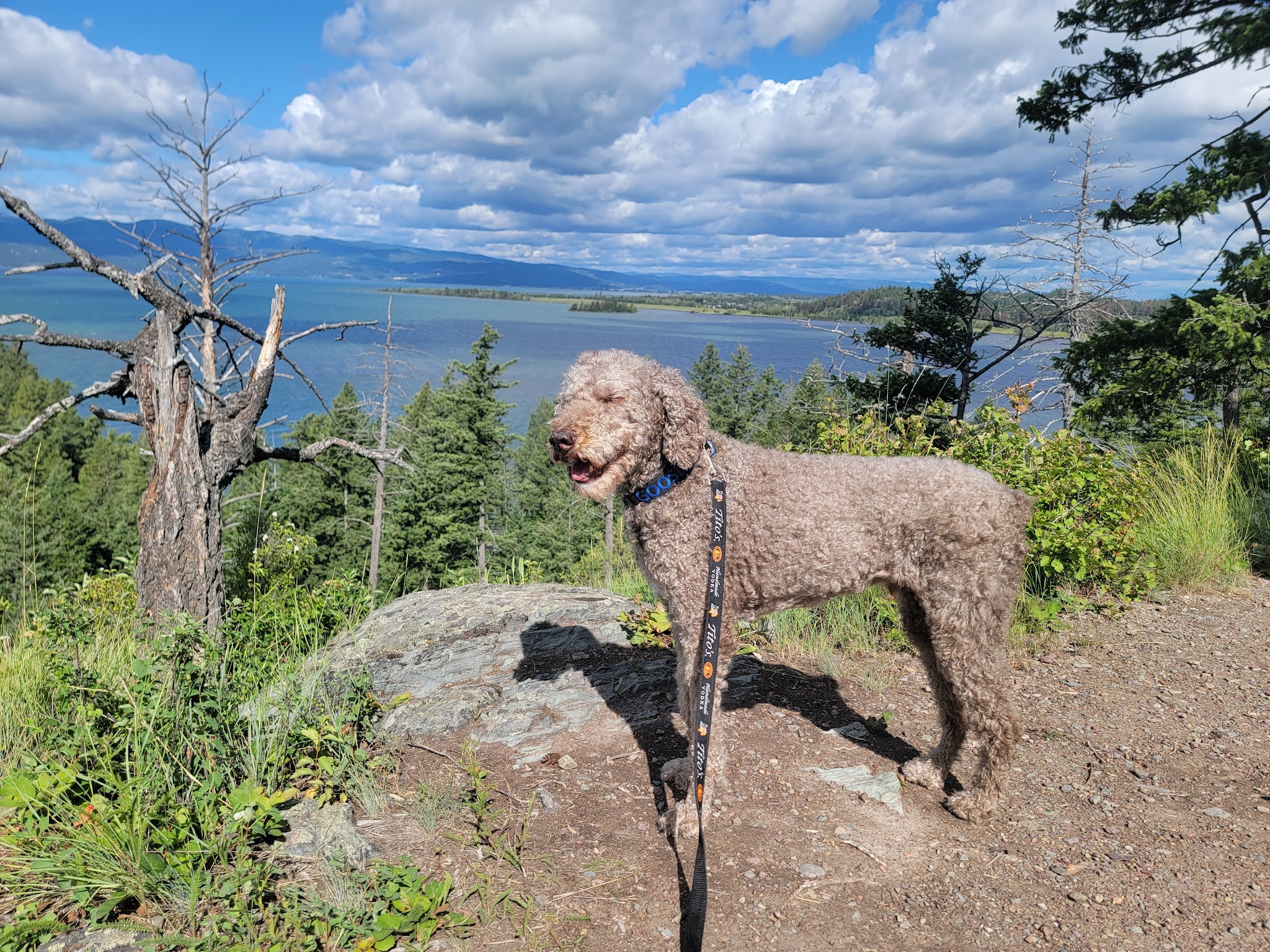 Wayfarers Unit - Flathead Lake State Park