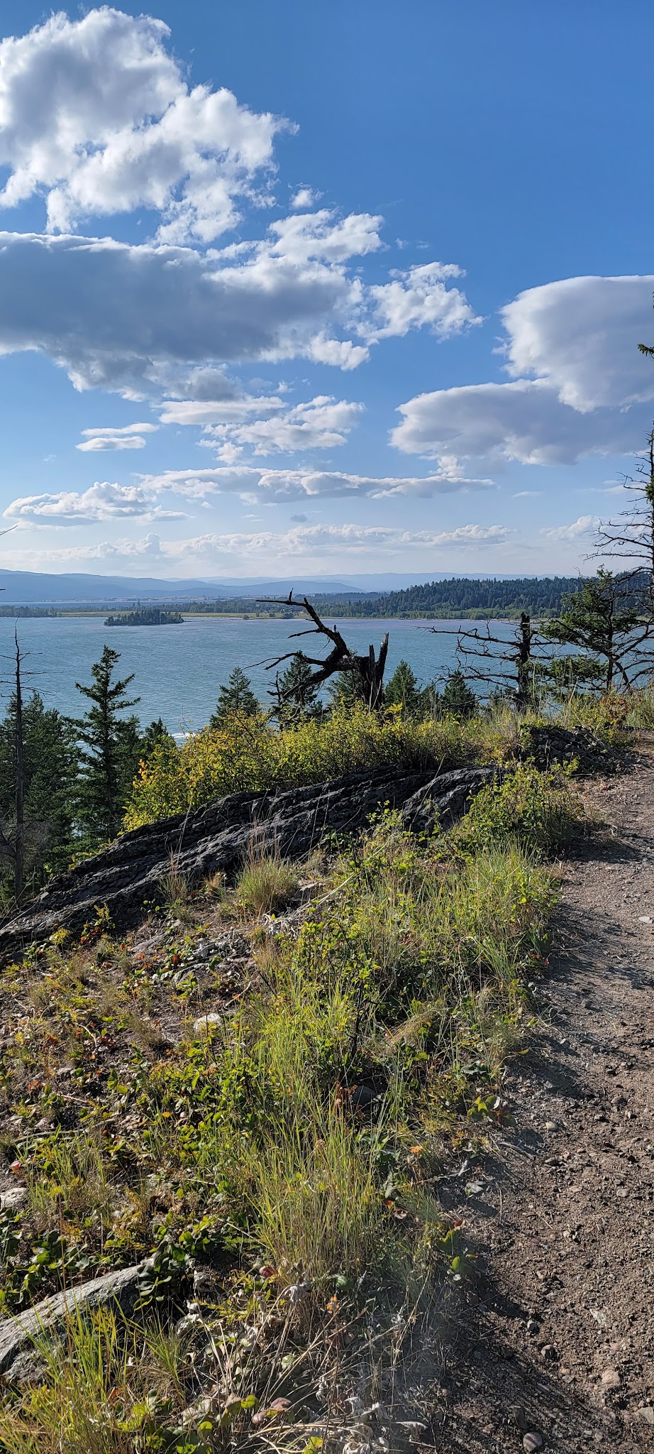 Wayfarers Unit - Flathead Lake State Park