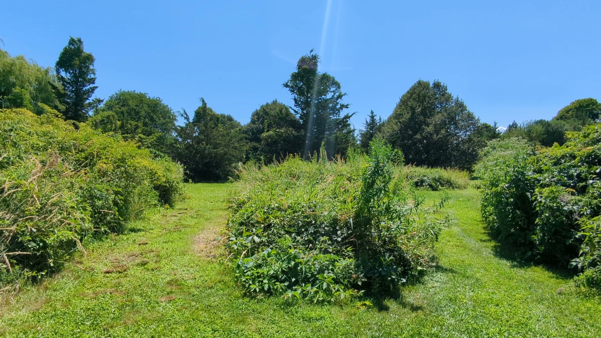 Webb Memorial State Park