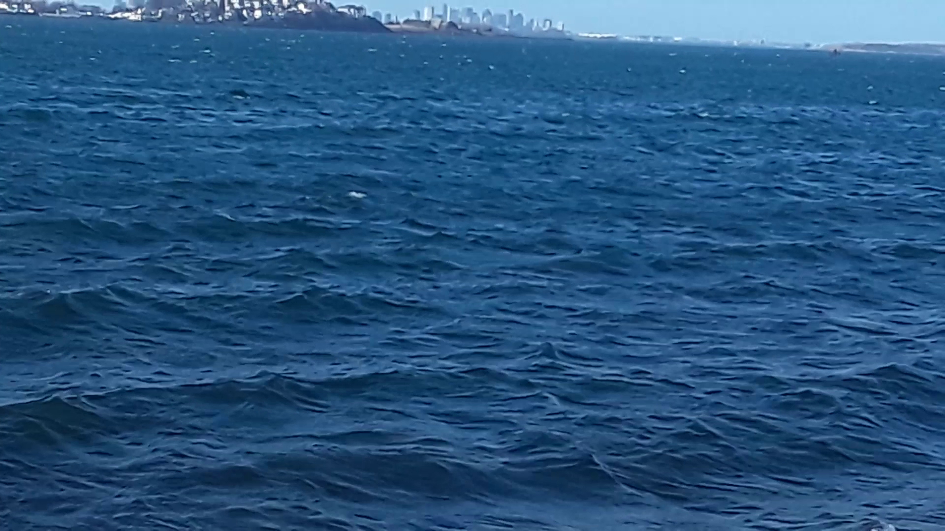 Webb Memorial State Park