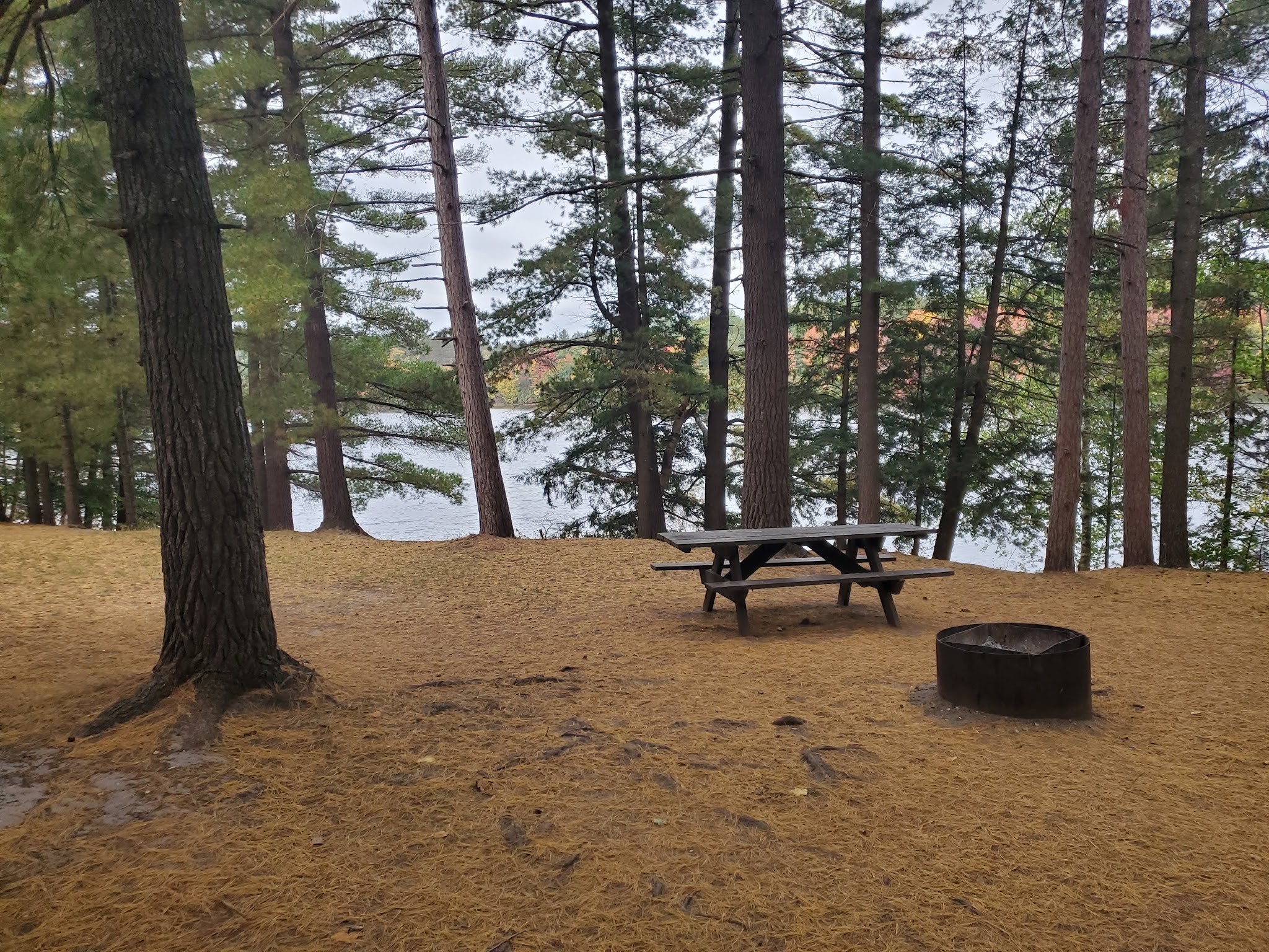 Weber Lake State Forest Campground