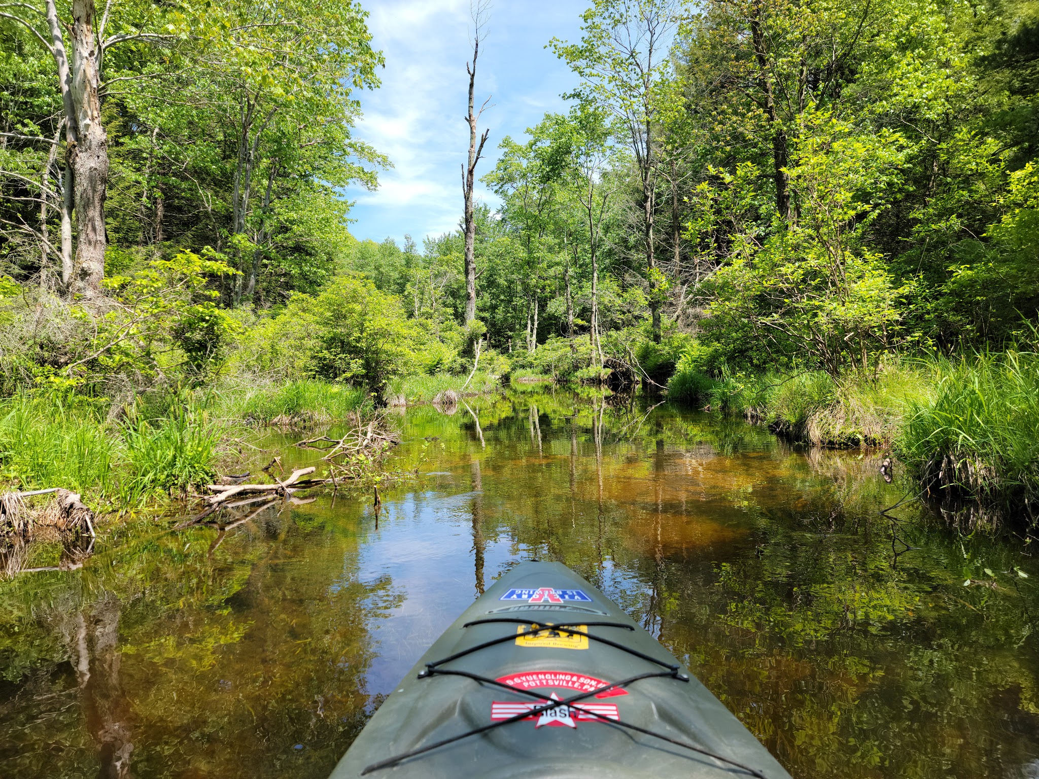 Weiser State Forest