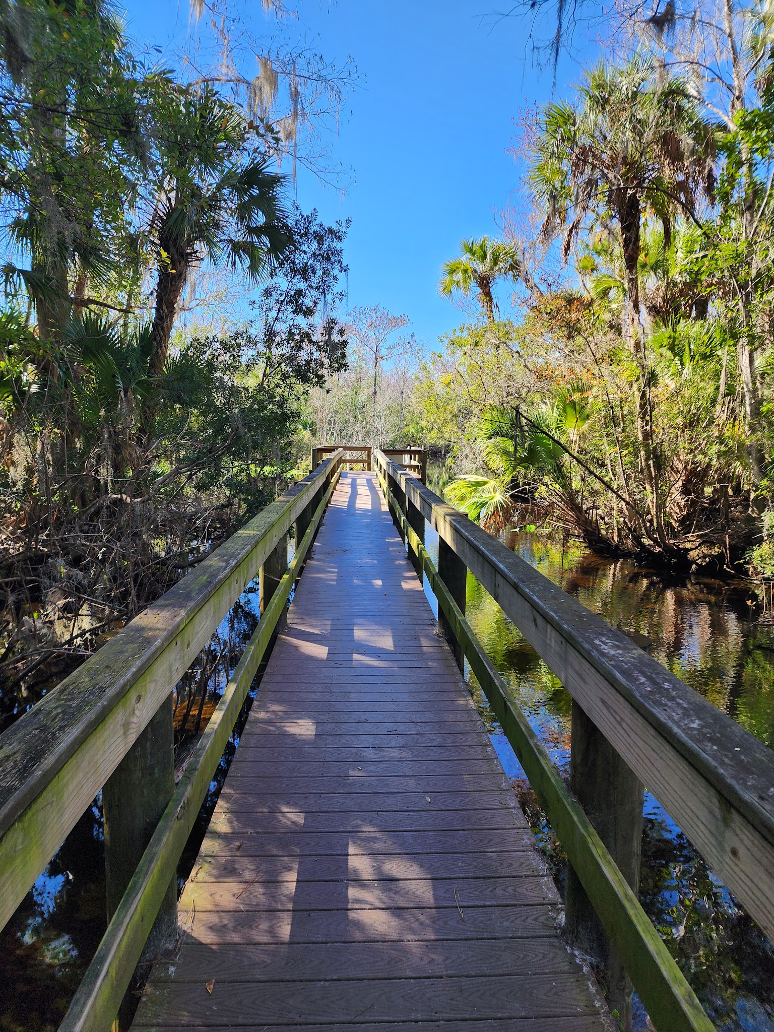 Welaka Primitive Campsites