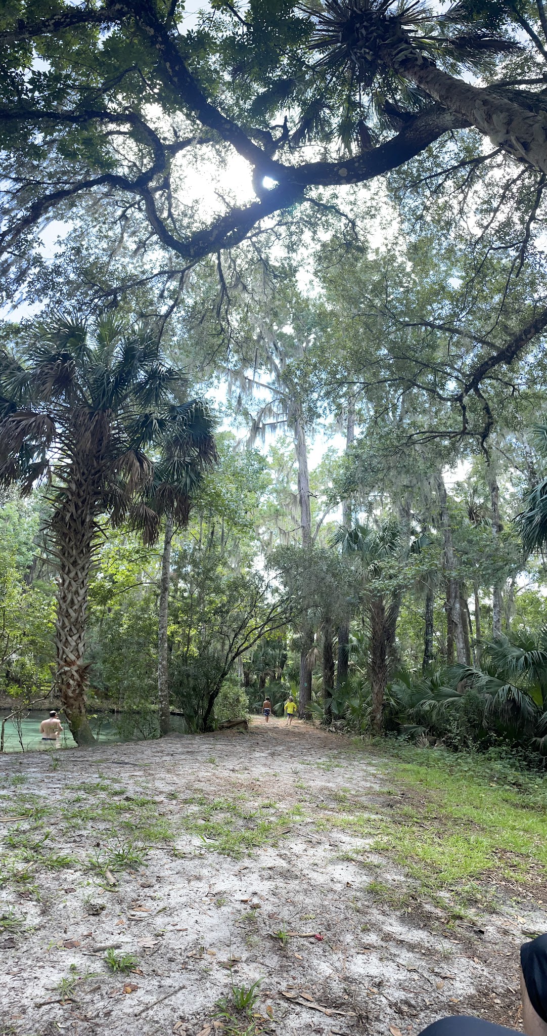 Welaka Primitive Campsites