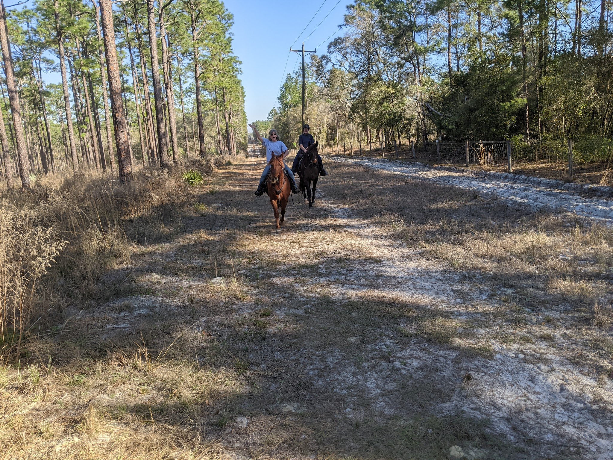 Equestrian Campground Welaka State Forest