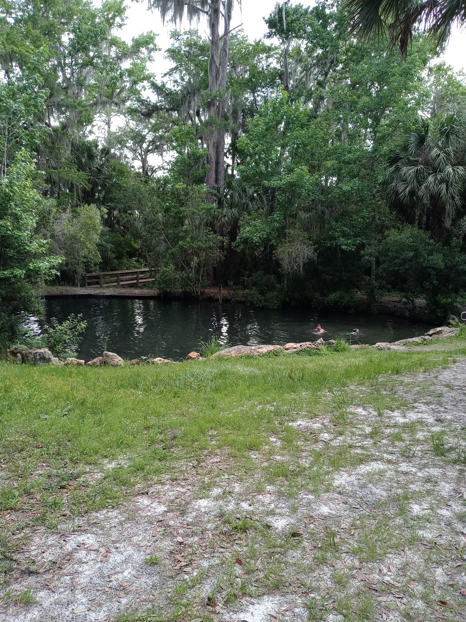 Welaka Primitive Campsites